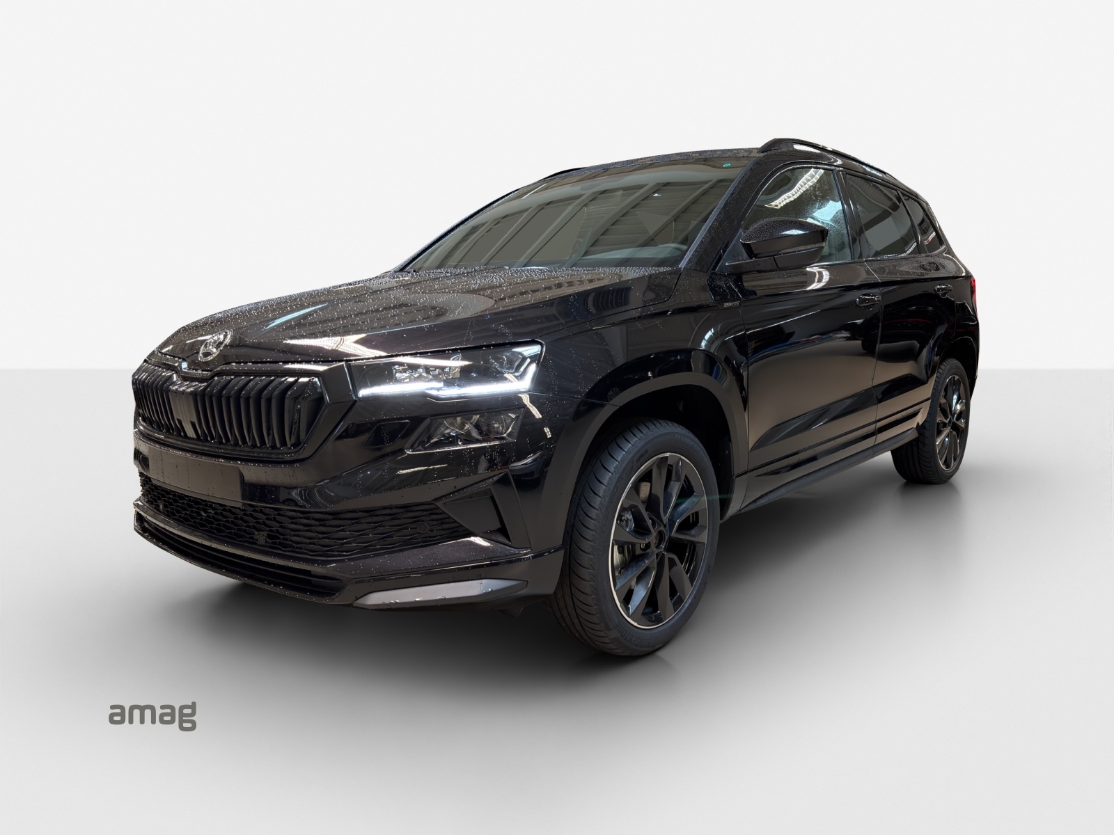 SKODA Karoq 2.0 TSI SportLine 4x4 DSG-image-0