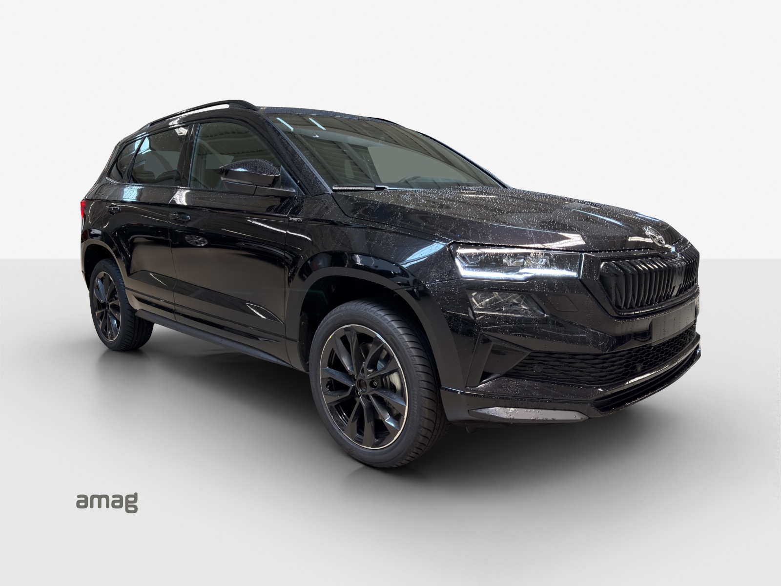 SKODA Karoq 2.0 TSI SportLine 4x4 DSG-image-5