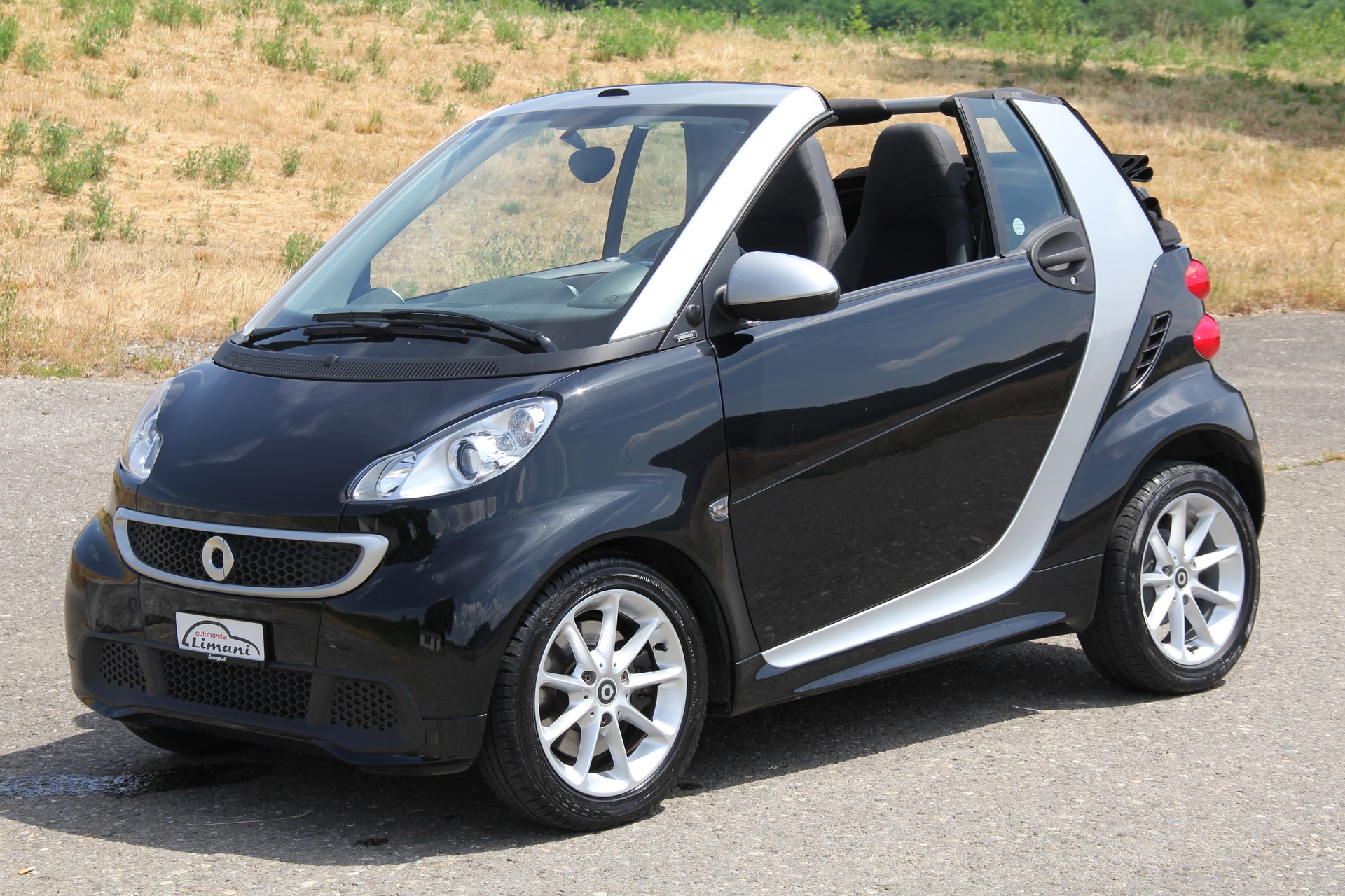 SMART fortwo pulse mhd softip-image-8