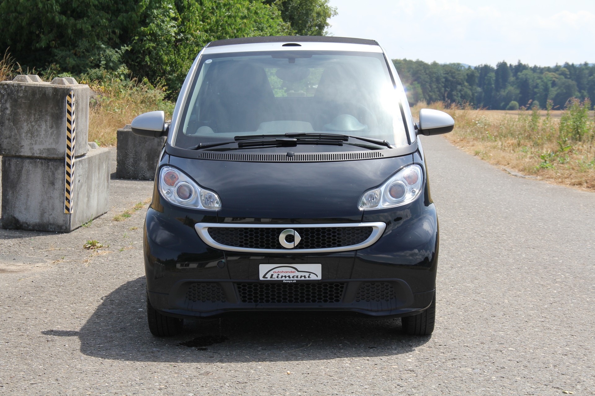 SMART fortwo pulse mhd softip-image-2