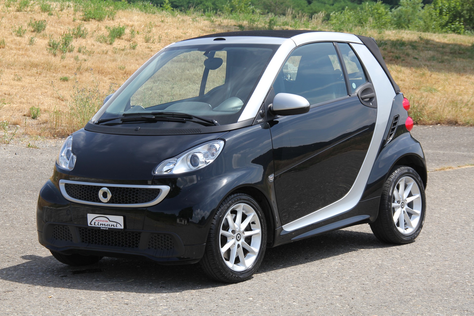 SMART fortwo pulse mhd softip-image-1