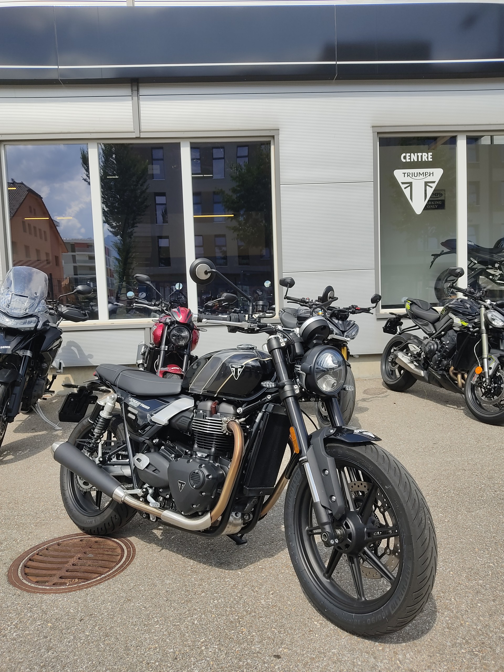 TRIUMPH Speed Twin