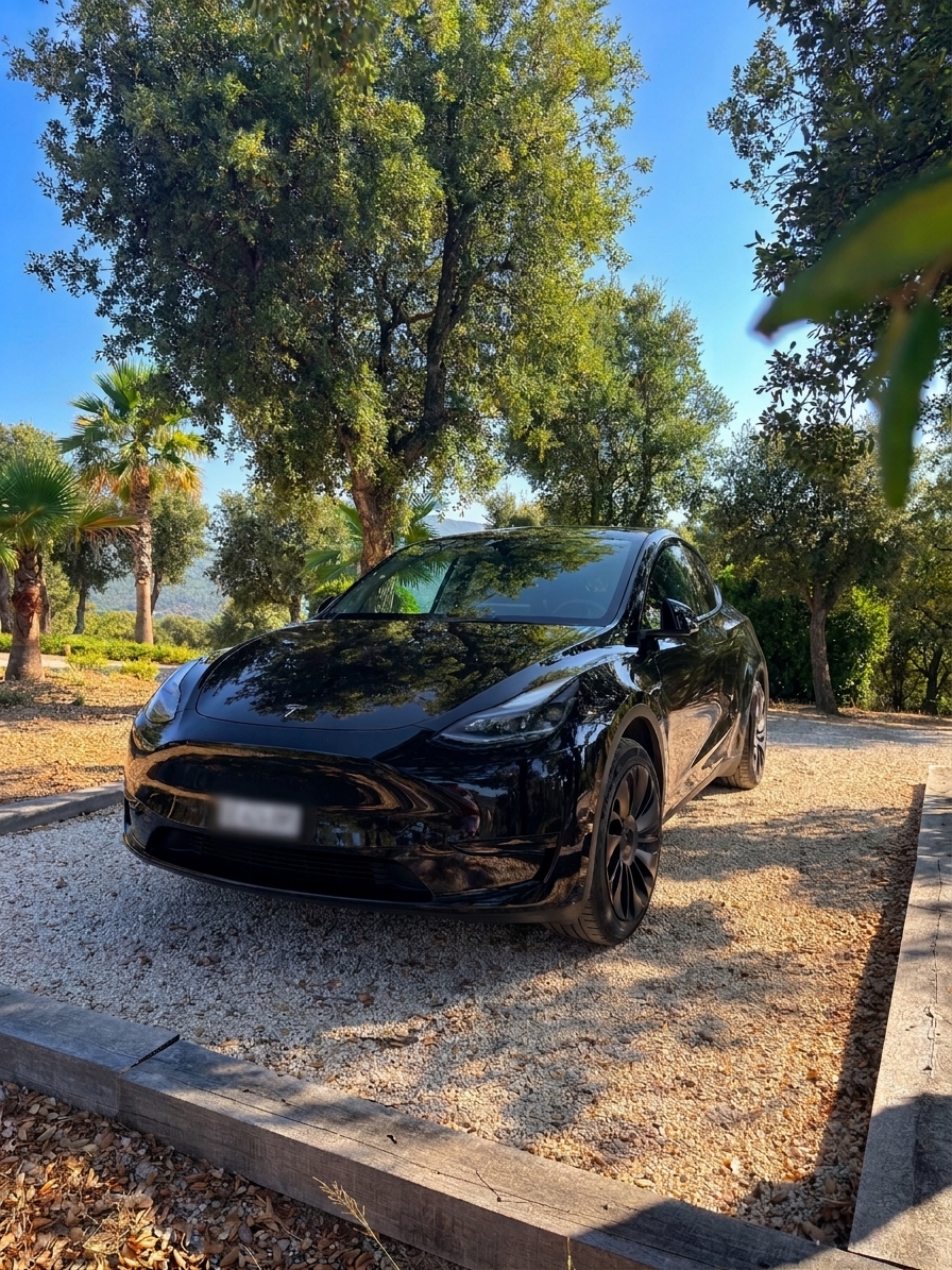 TESLA RWD-image-0