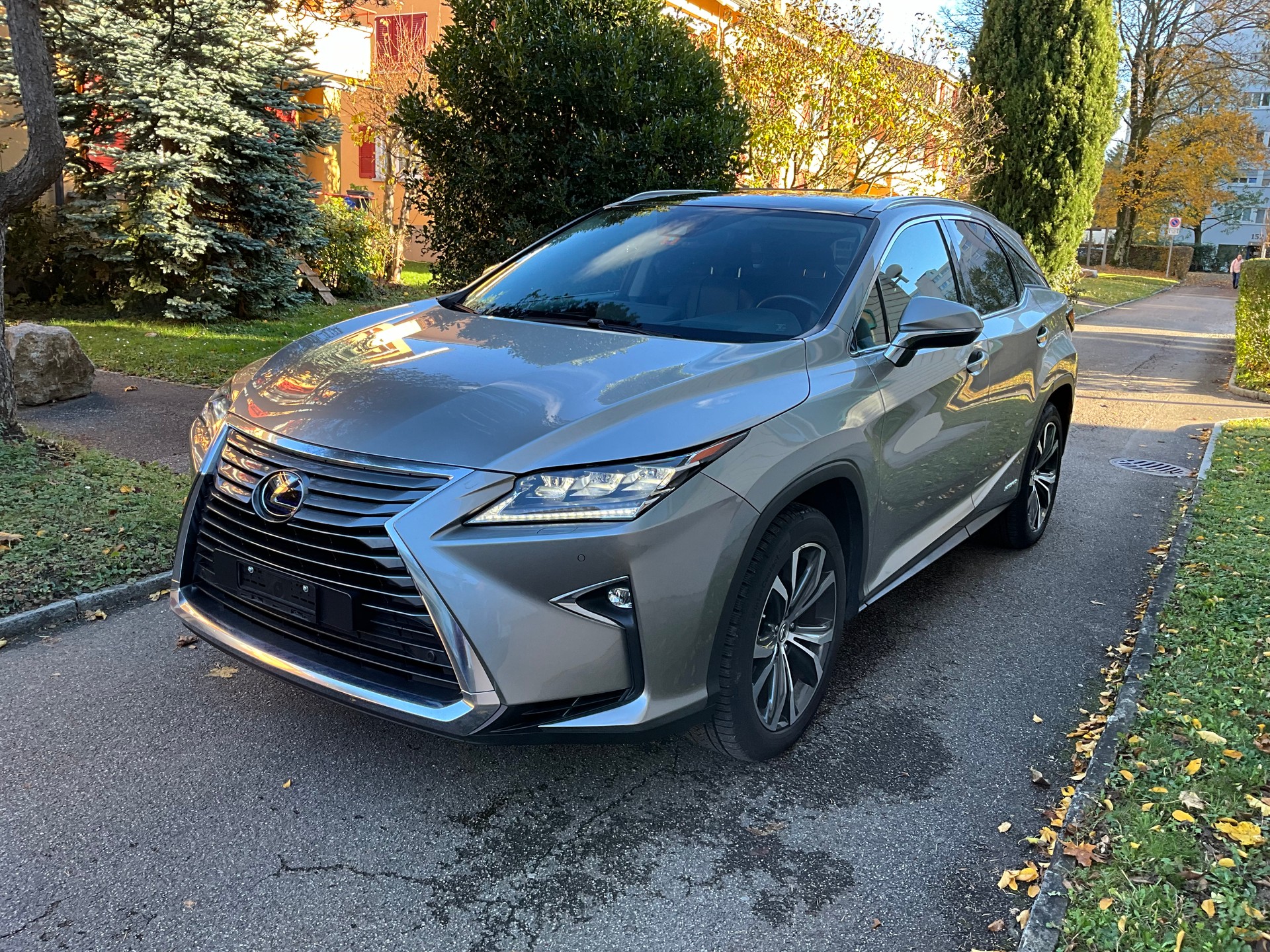LEXUS RX 450h Diamond comfort AWD CVT-image-1