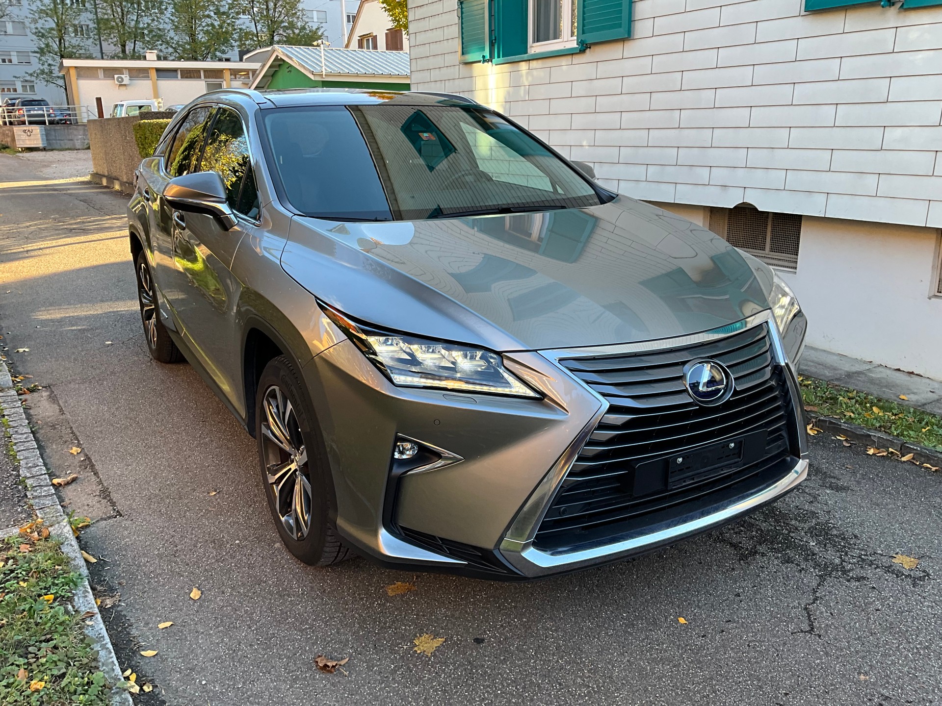 LEXUS RX 450h Diamond comfort AWD CVT-image-2
