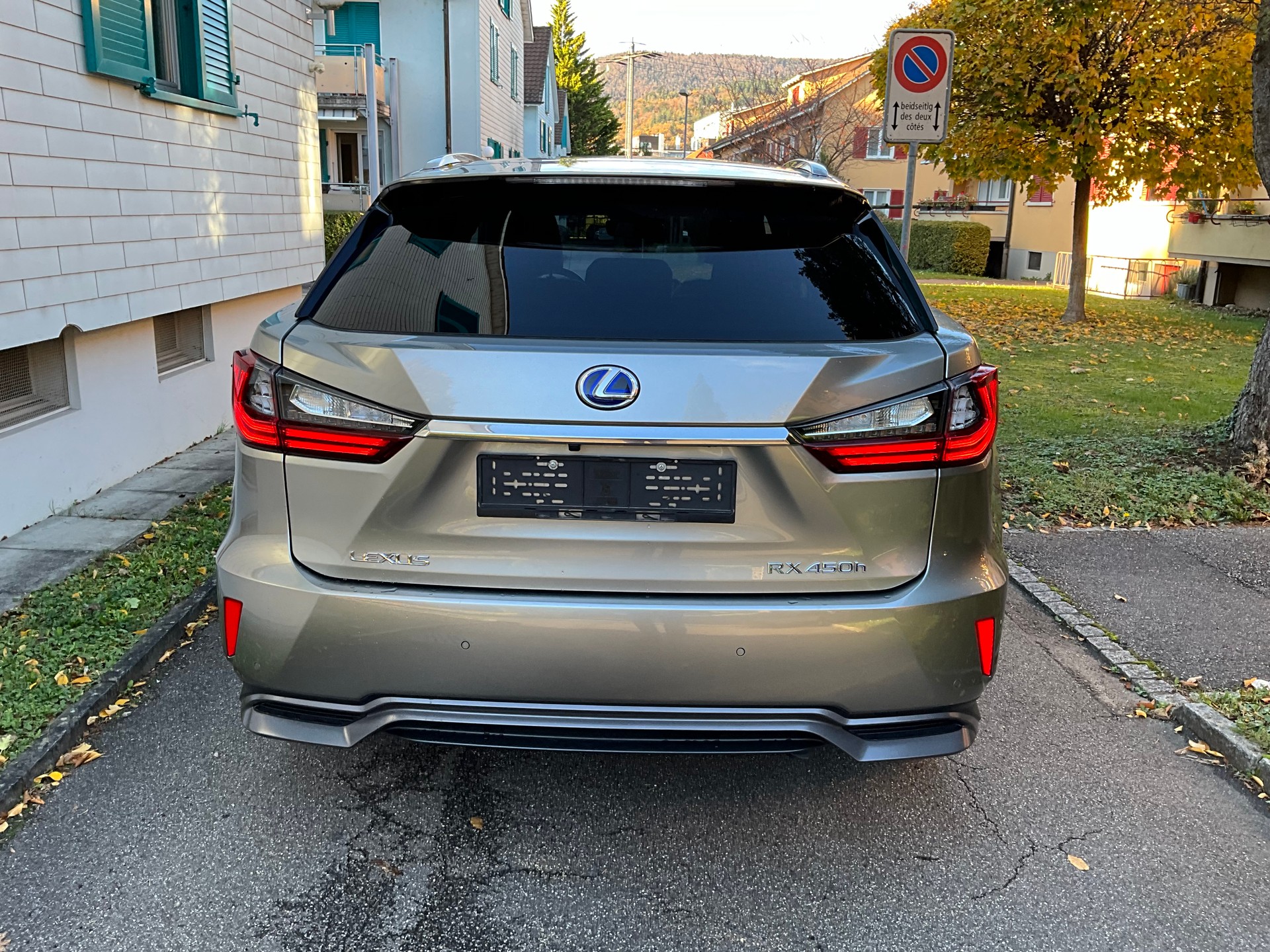 LEXUS RX 450h Diamond comfort AWD CVT-image-3