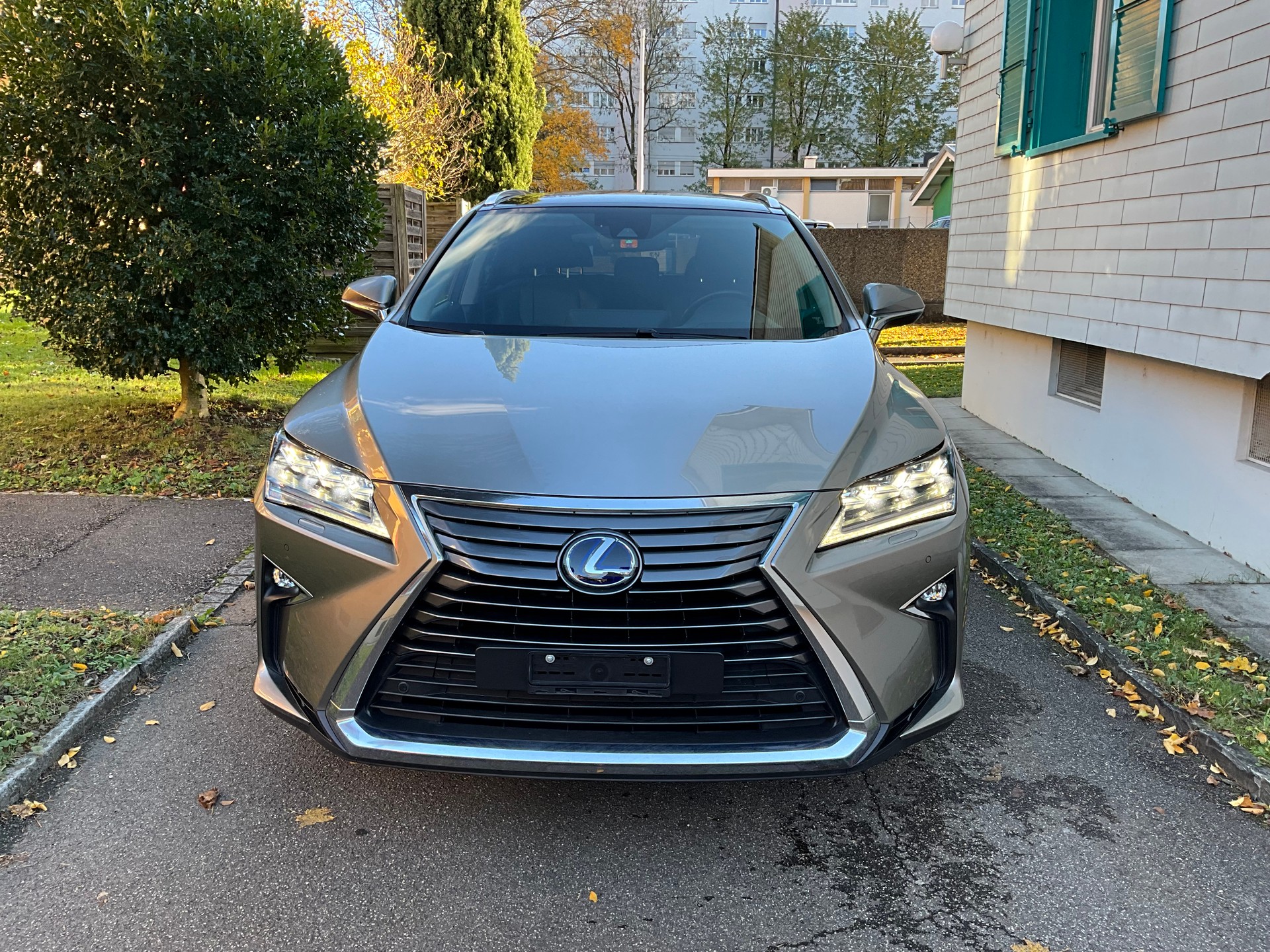 LEXUS RX 450h Diamond comfort AWD CVT
