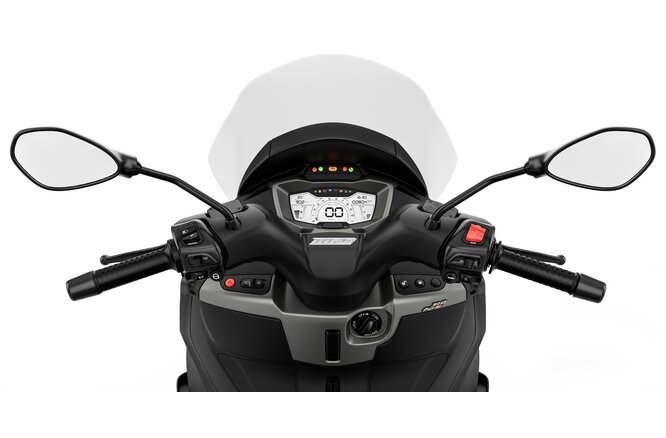 PIAGGIO MP3 310 Euro 5+-image-6