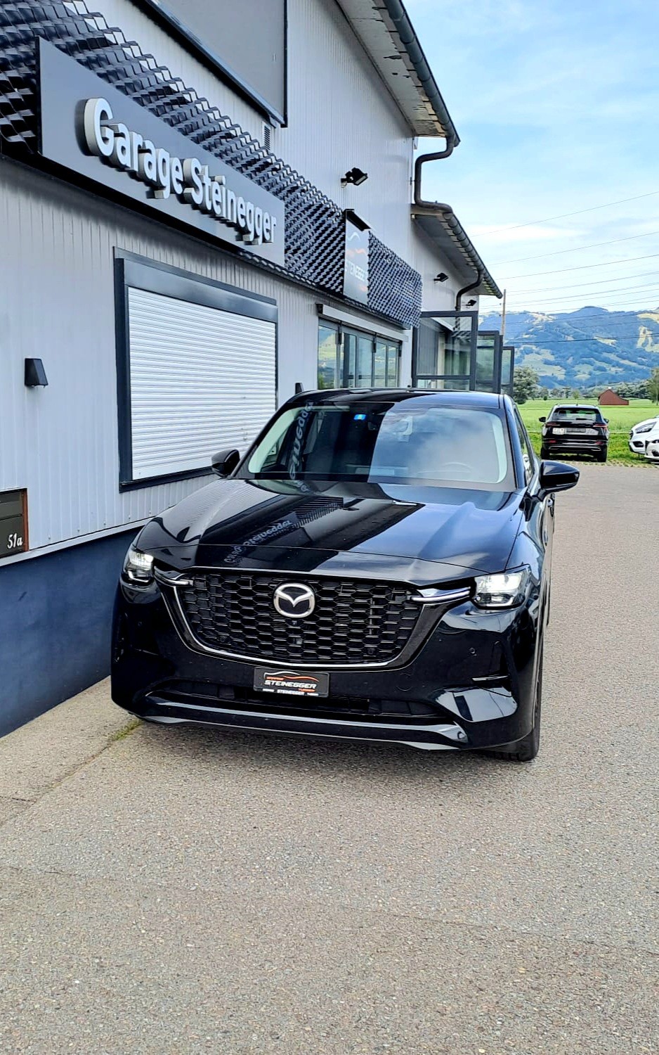 MAZDA CX-60 3.3L e-Skyactiv D 254 MHEV AWD Homura-image-2