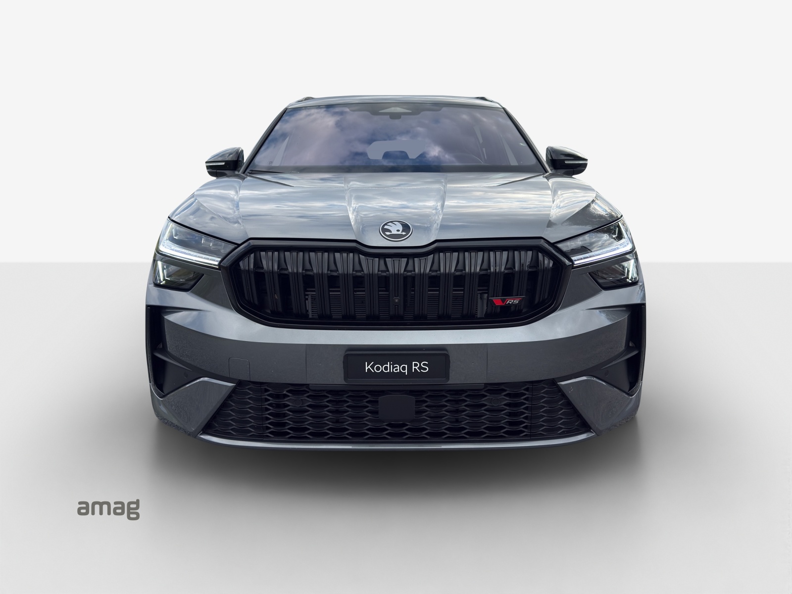 SKODA Kodiaq RS-image-6