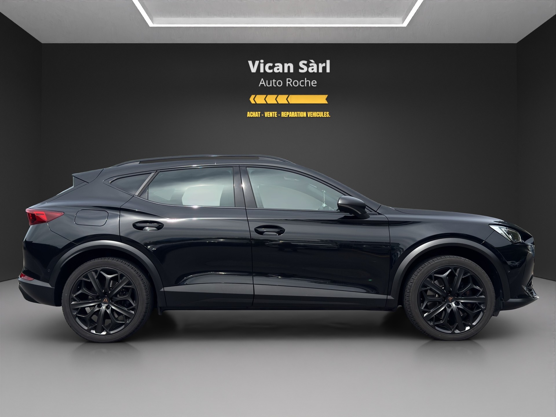 CUPRA Formentor 2.0TSI Tribe Edition DSG-image-4