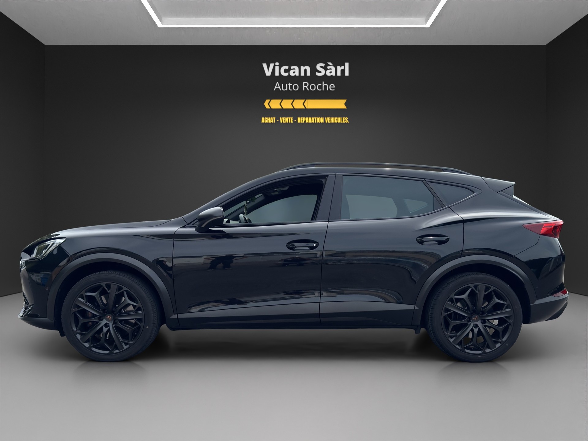 CUPRA Formentor 2.0TSI Tribe Edition DSG-image-3