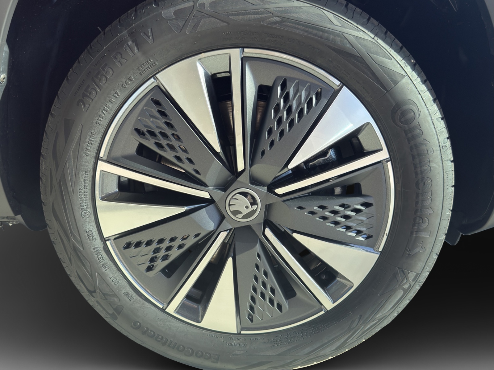 SKODA Karoq 1.5 TSI Dynamic DSG-image-13