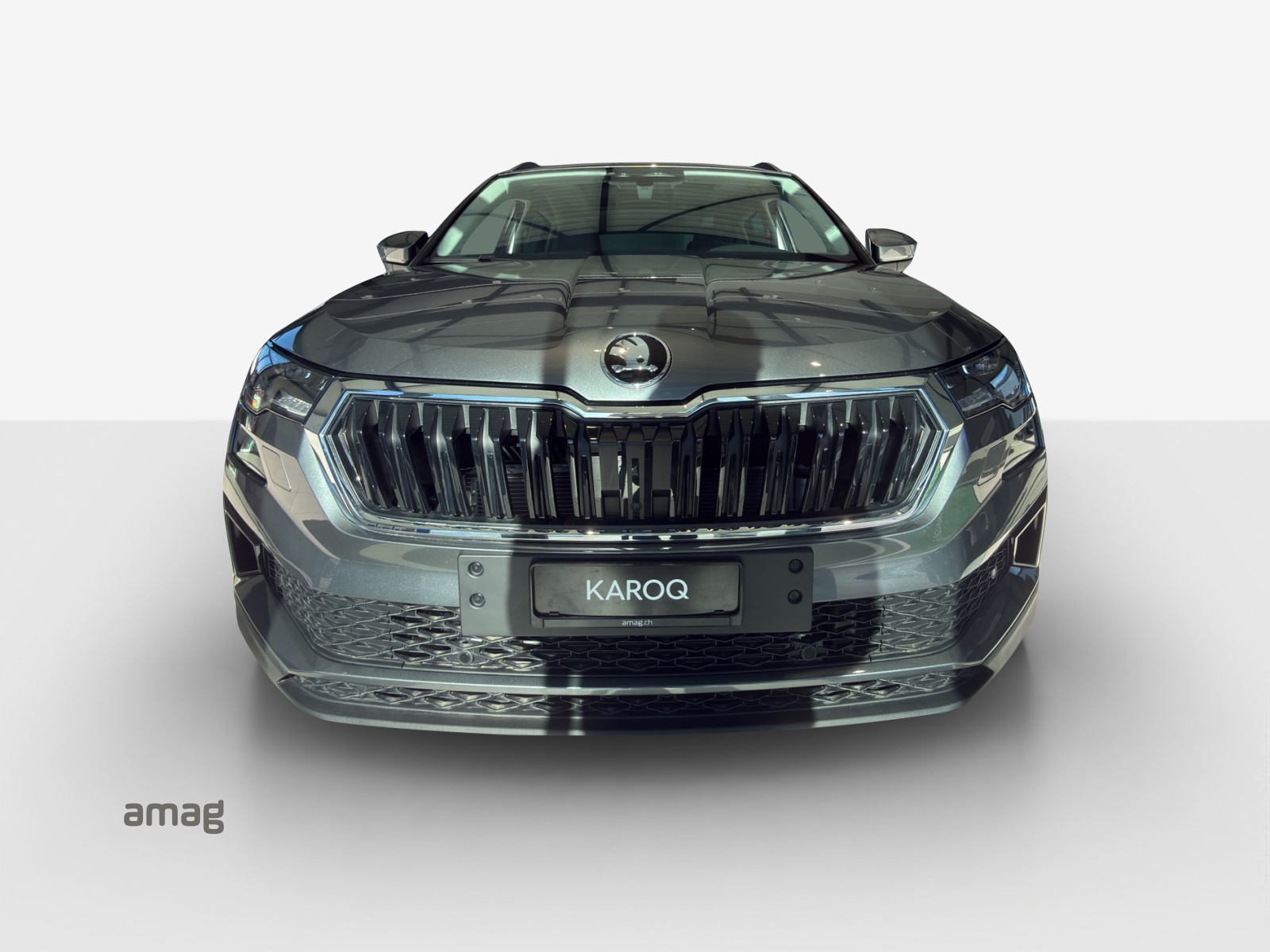 SKODA Karoq 1.5 TSI Dynamic DSG-image-6