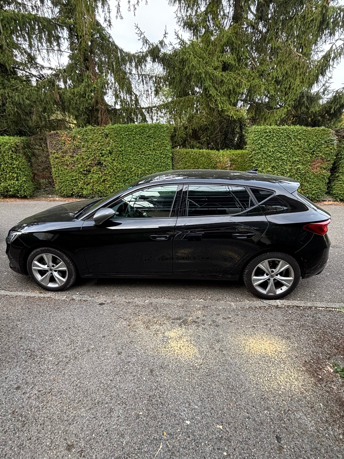 SEAT 1.5 eTSI-image-1