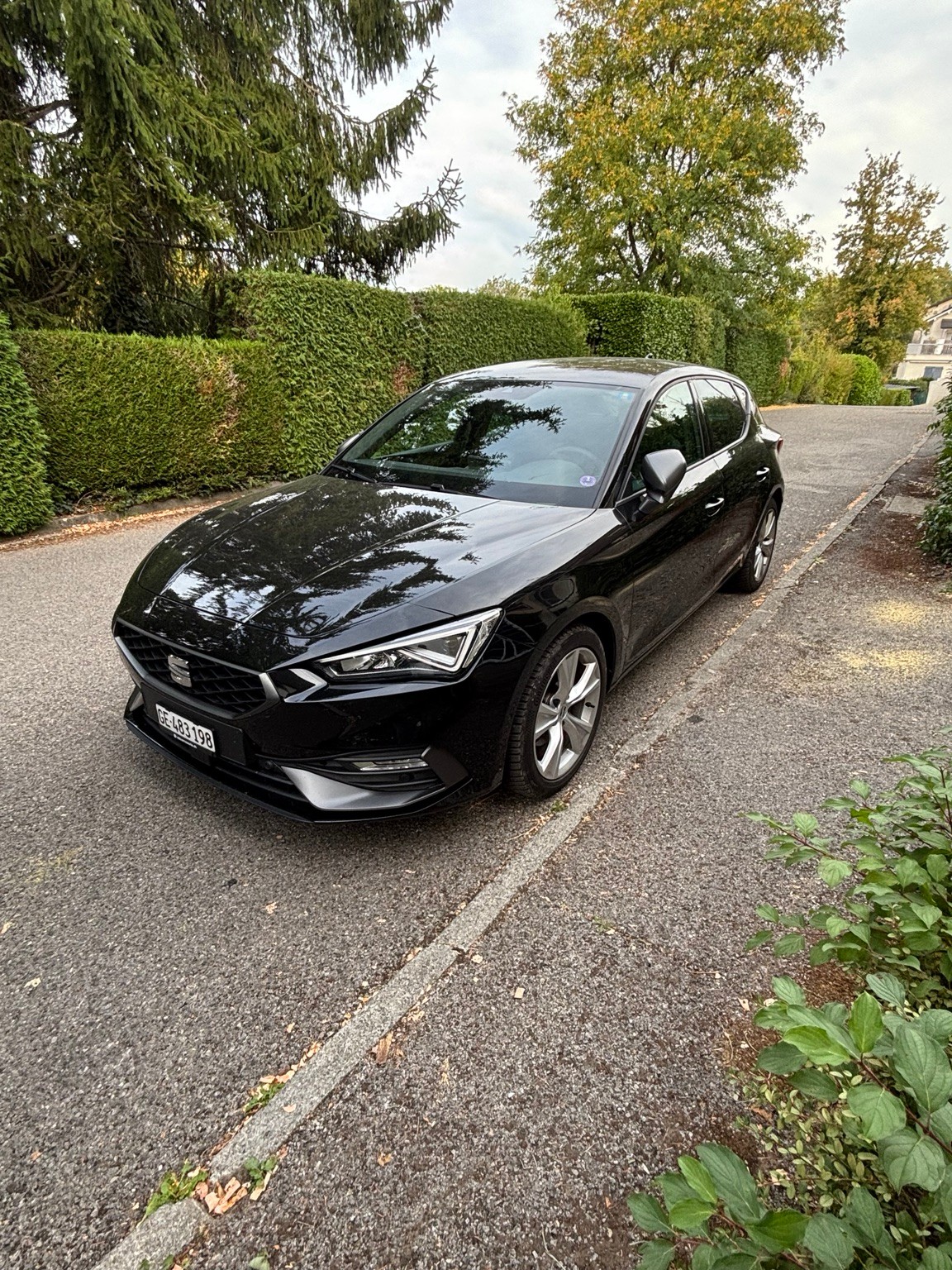SEAT 1.5 eTSI-image-3