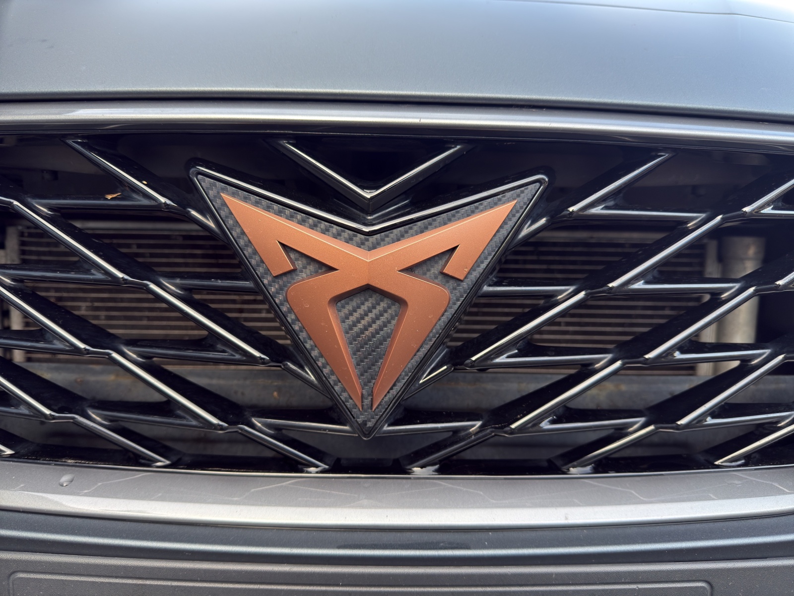 CUPRA LEON ST 2.0 TSI VZ DSG 4Drive-image-15