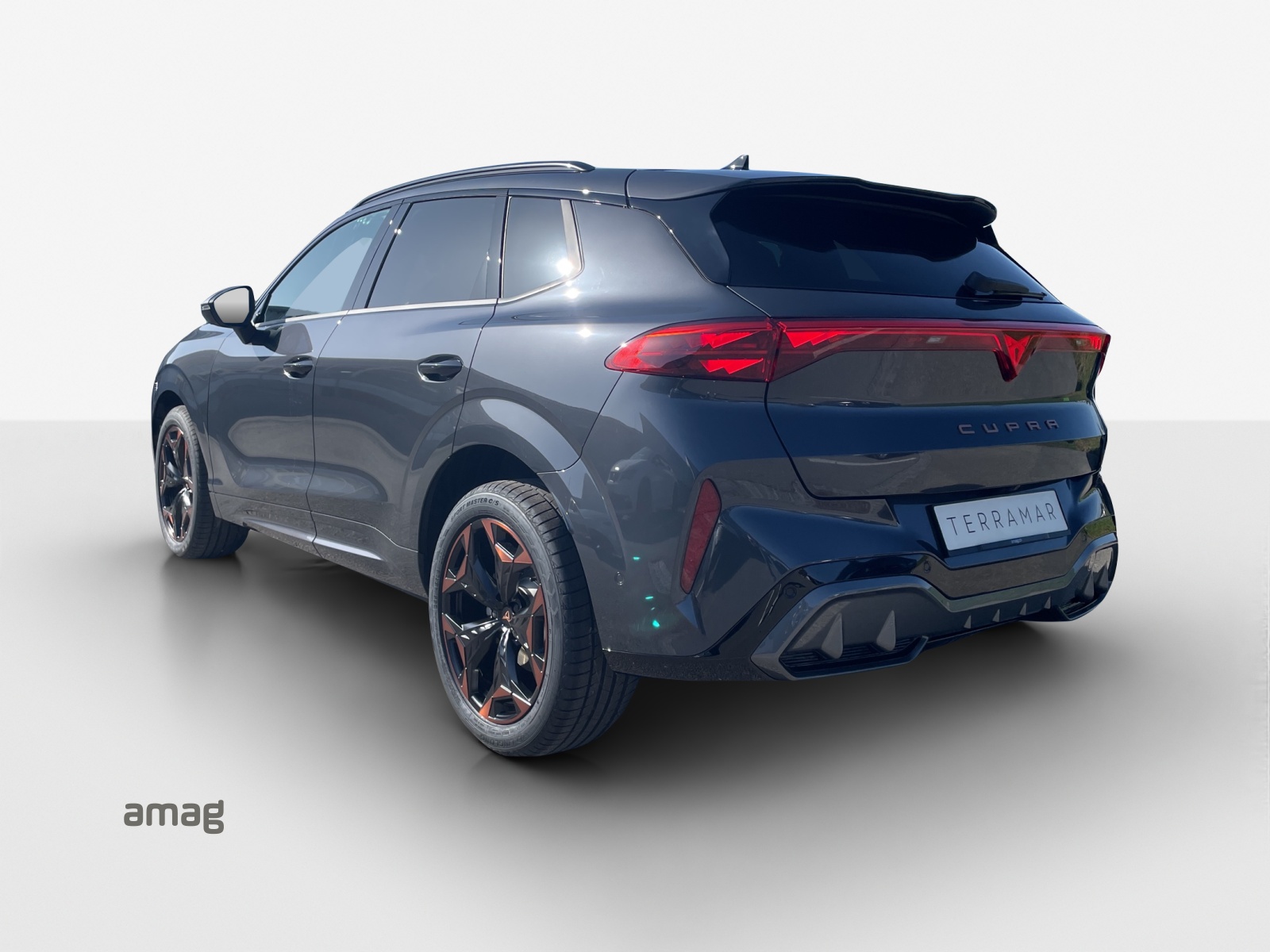 CUPRA Terramar 1.5 eTSI Prime Edition DSG-showroom-element-2