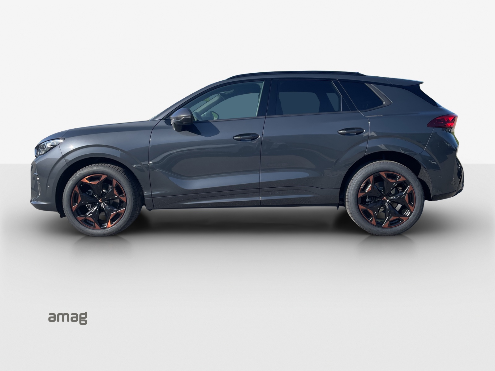 CUPRA Terramar 1.5 eTSI Prime Edition DSG-showroom-element-1