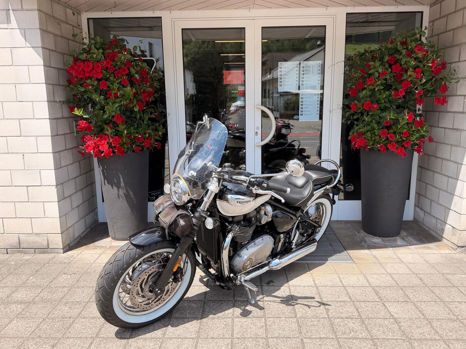 TRIUMPH Bonneville 1200 Speedmaster-image-4
