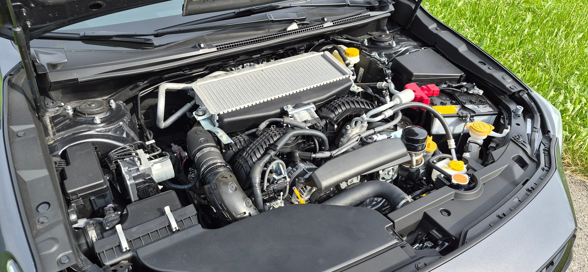 SUBARU WRX tS-image-10