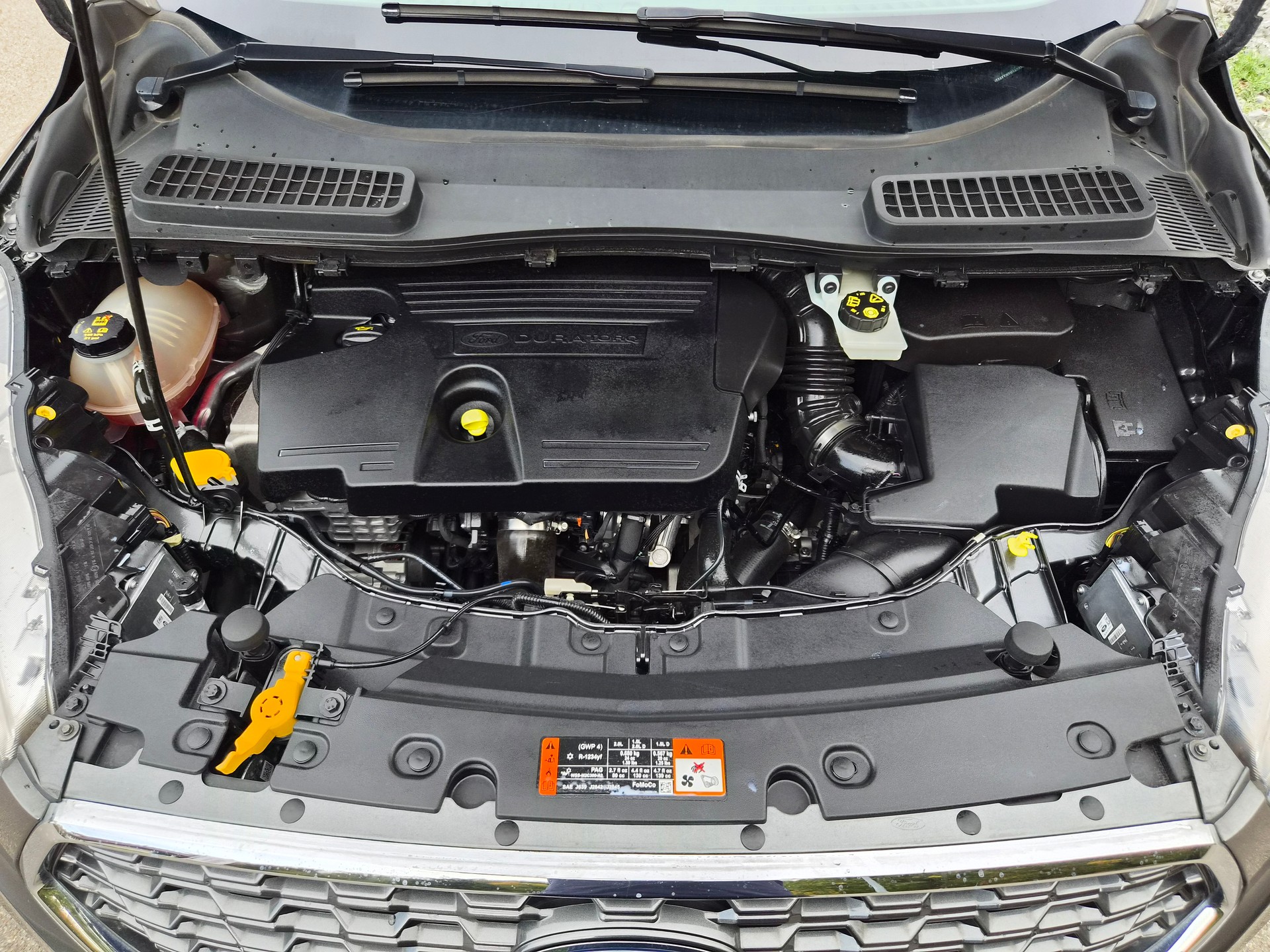FORD Kuga 2.0 TDCi Vignale 4WD PowerShift-image-13