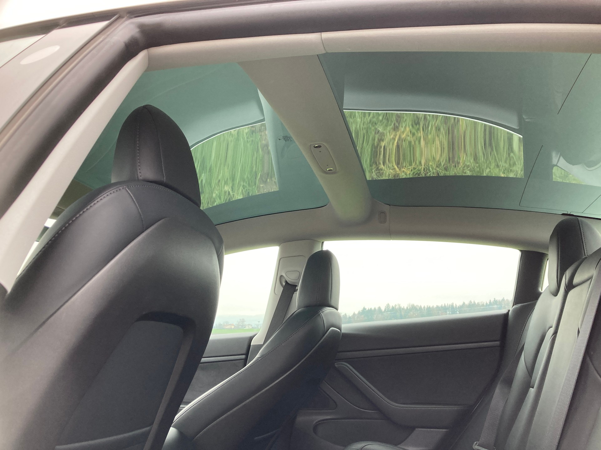 TESLA Model 3-image-7