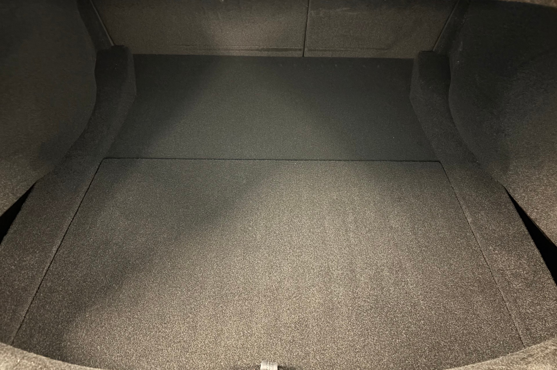 TESLA Dual Motor Performance AWD / Highland-image-12