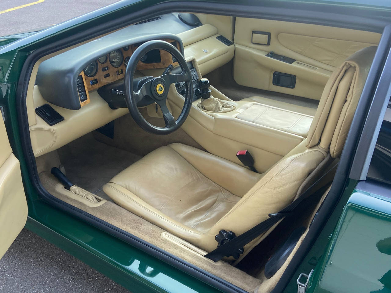 LOTUS Esprit 2.2 Turbo SE Targa-image-7