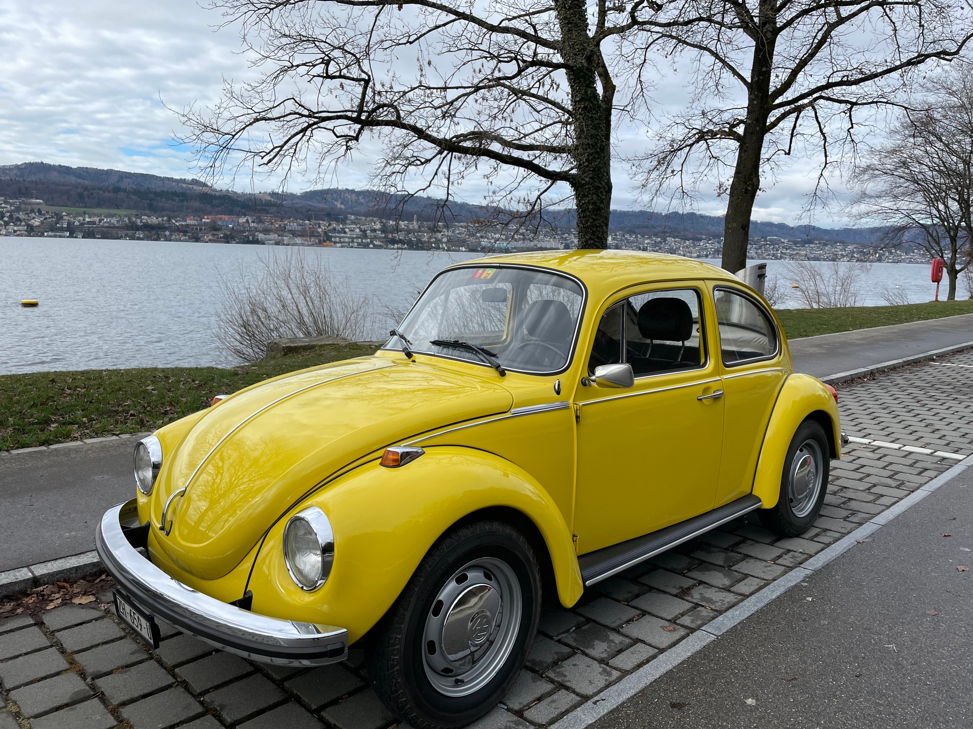 VW Käfer