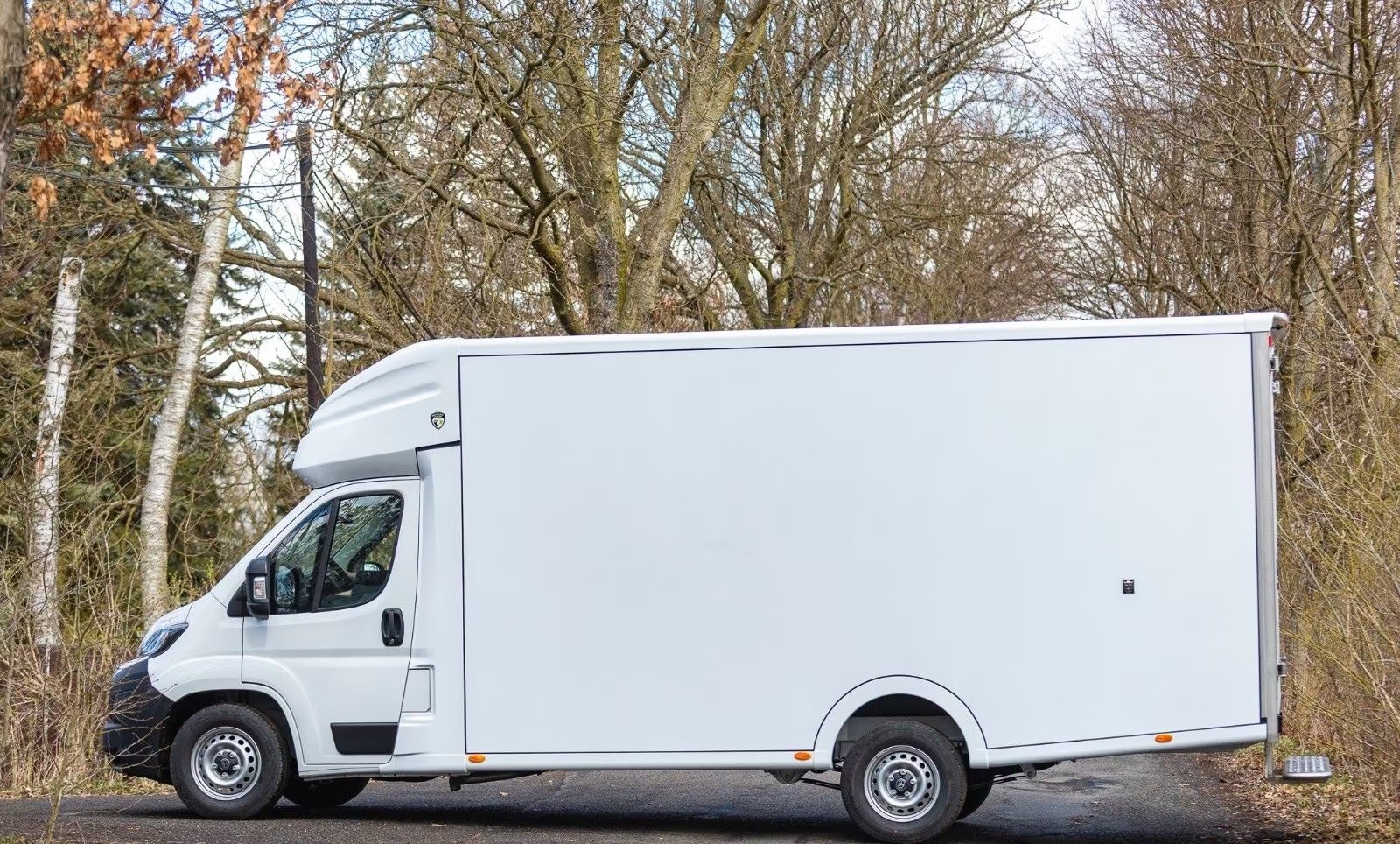 TOYOTA Proace MAX 2.2D Kühlwagen-image-7