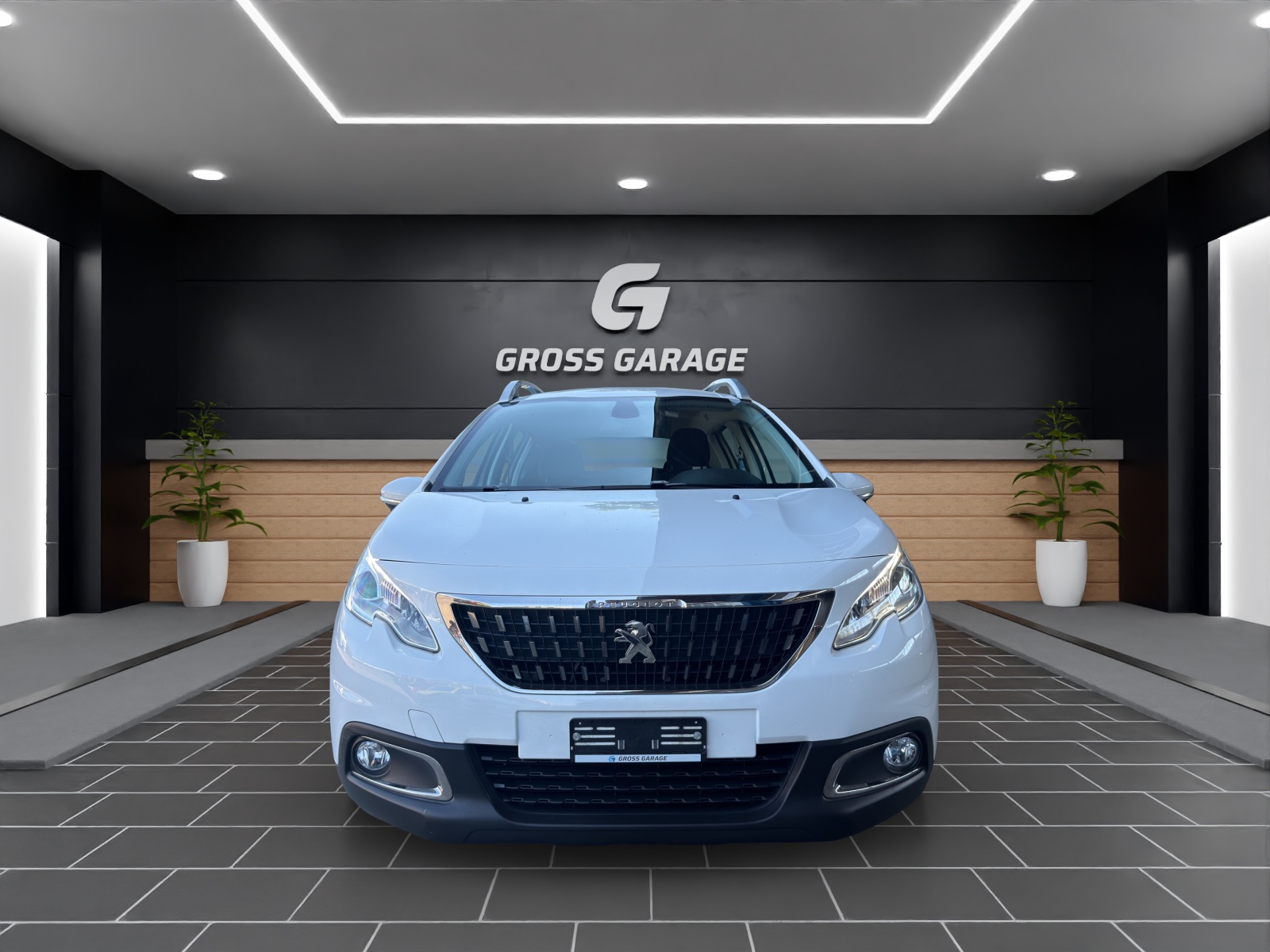 PEUGEOT 2008-image-1