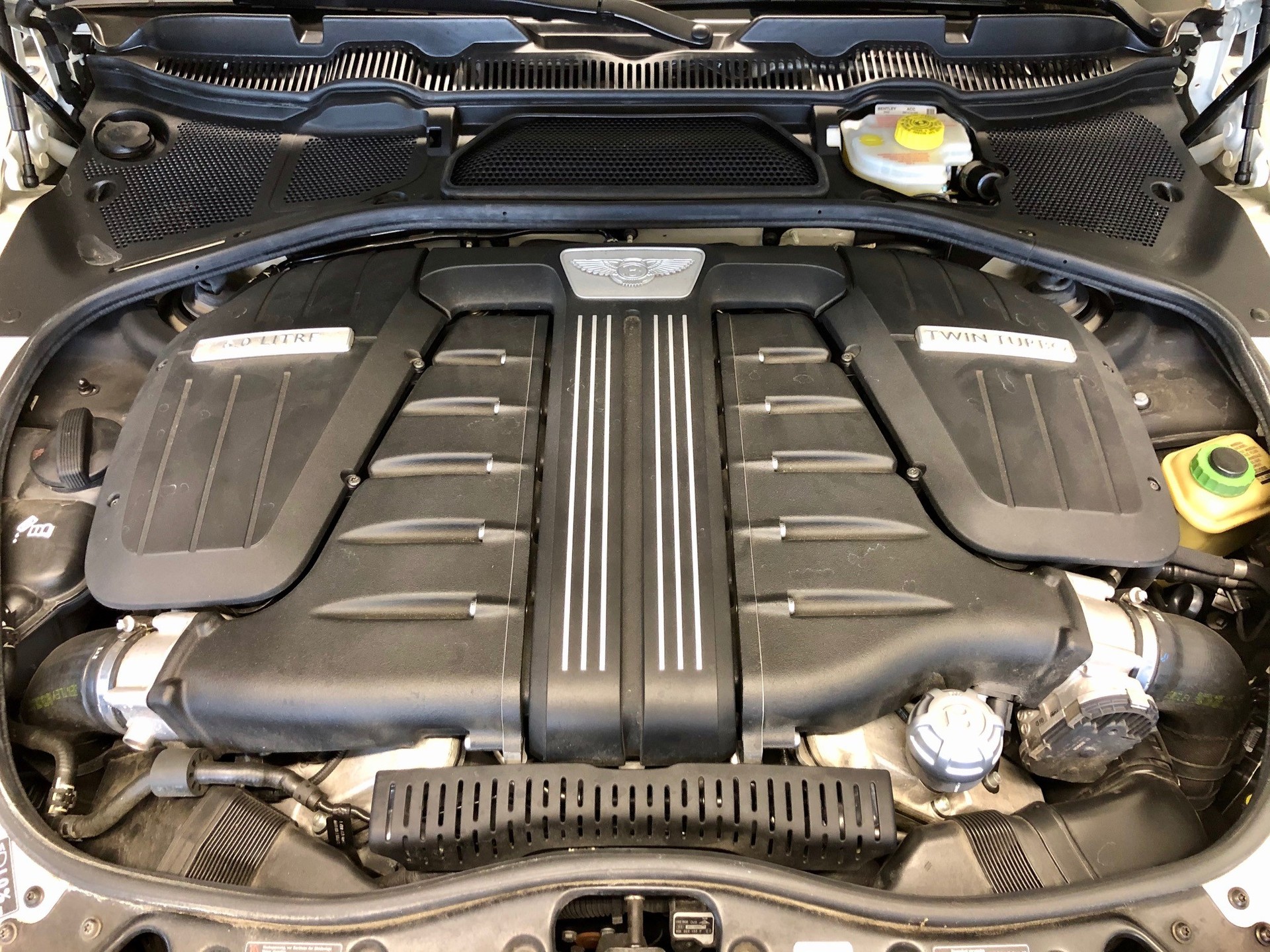 BENTLEY 6.0 V12 Speed-image-4
