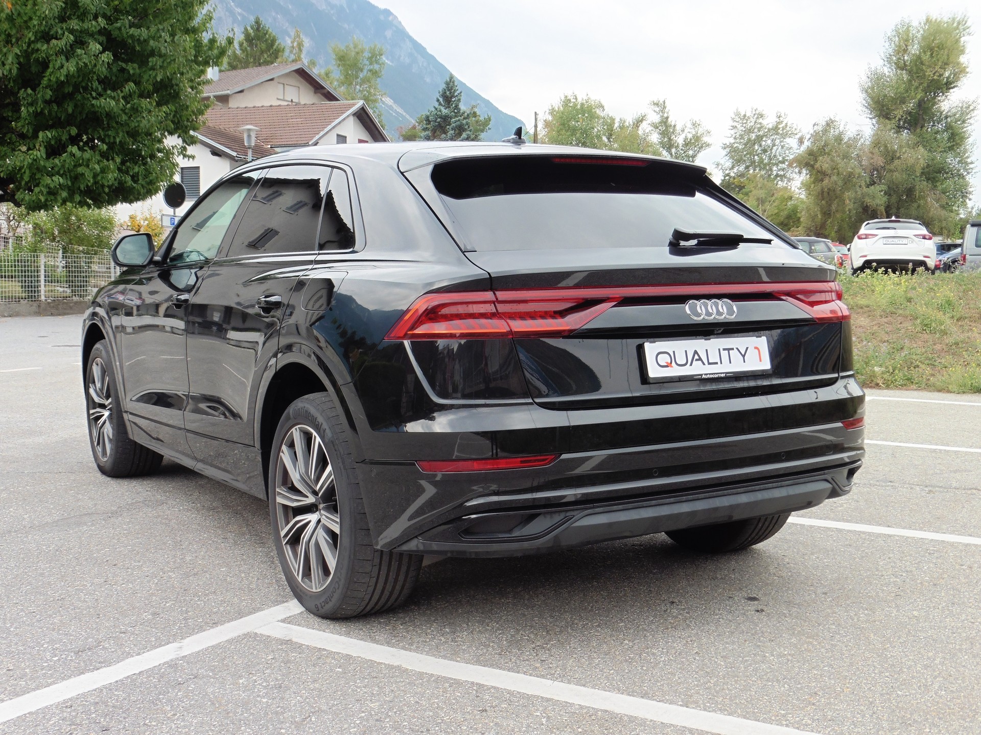 AUDI Q8 55 TFSI e quattro PHEV tiptronic-image-9