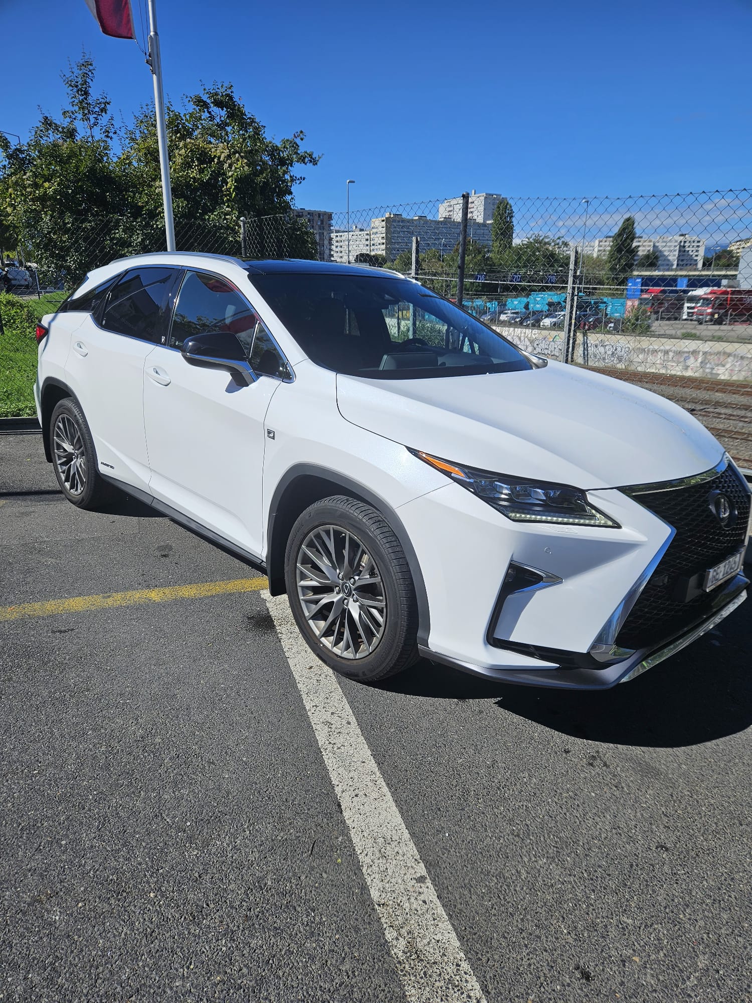LEXUS RX 450h diamond F-Sport AWD CVT-image-1