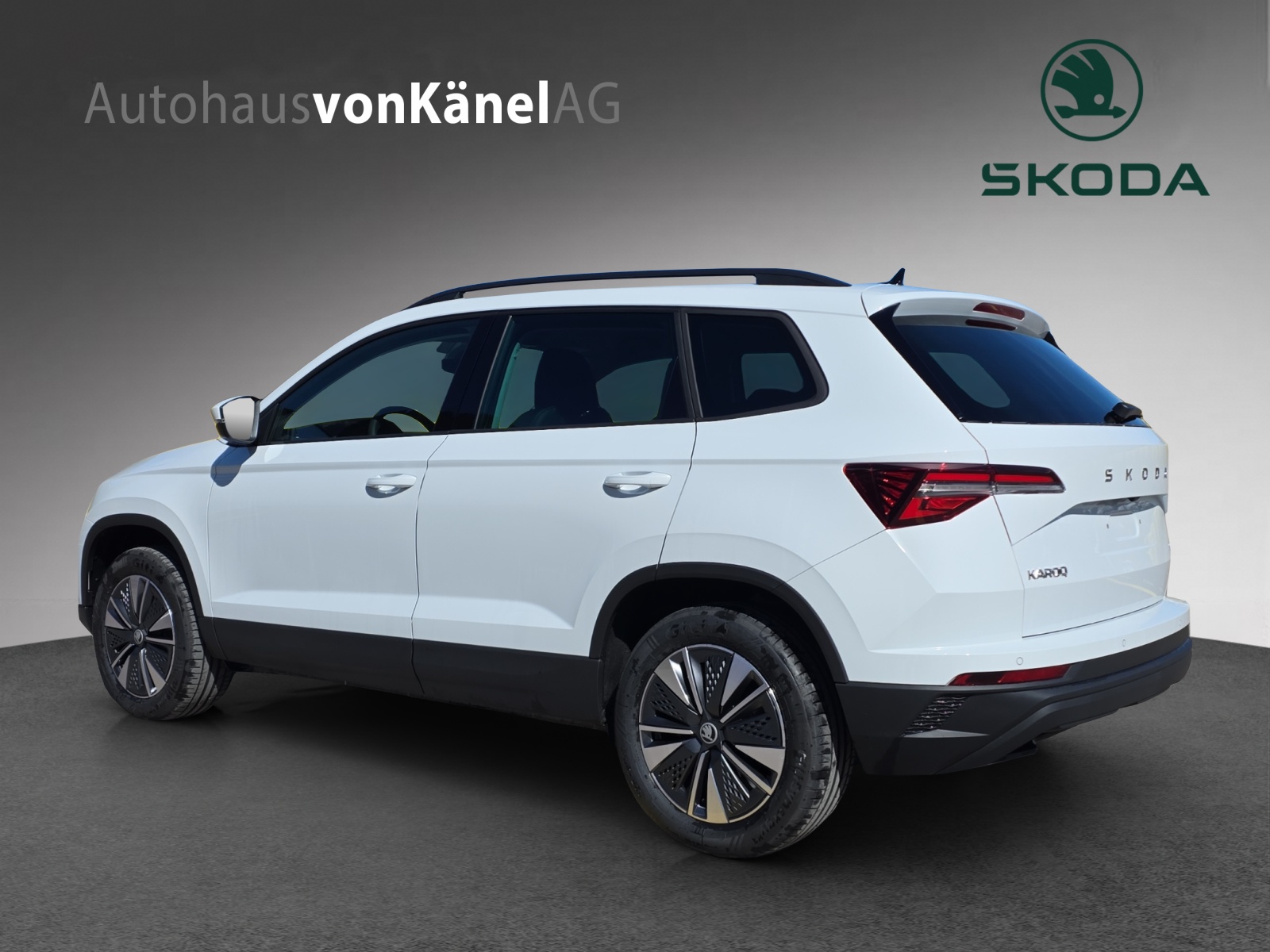 SKODA Karoq 2.0 TDI CR Dynamic 4x4 DSG-image-2