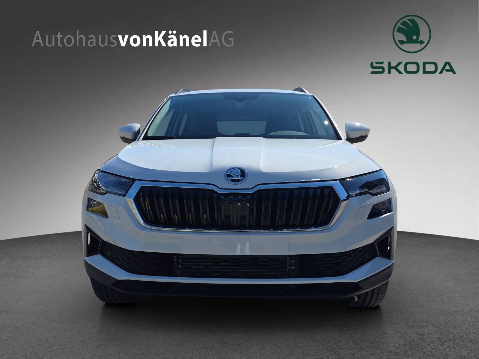 SKODA Karoq 2.0 TDI CR Dynamic 4x4 DSG-image-3