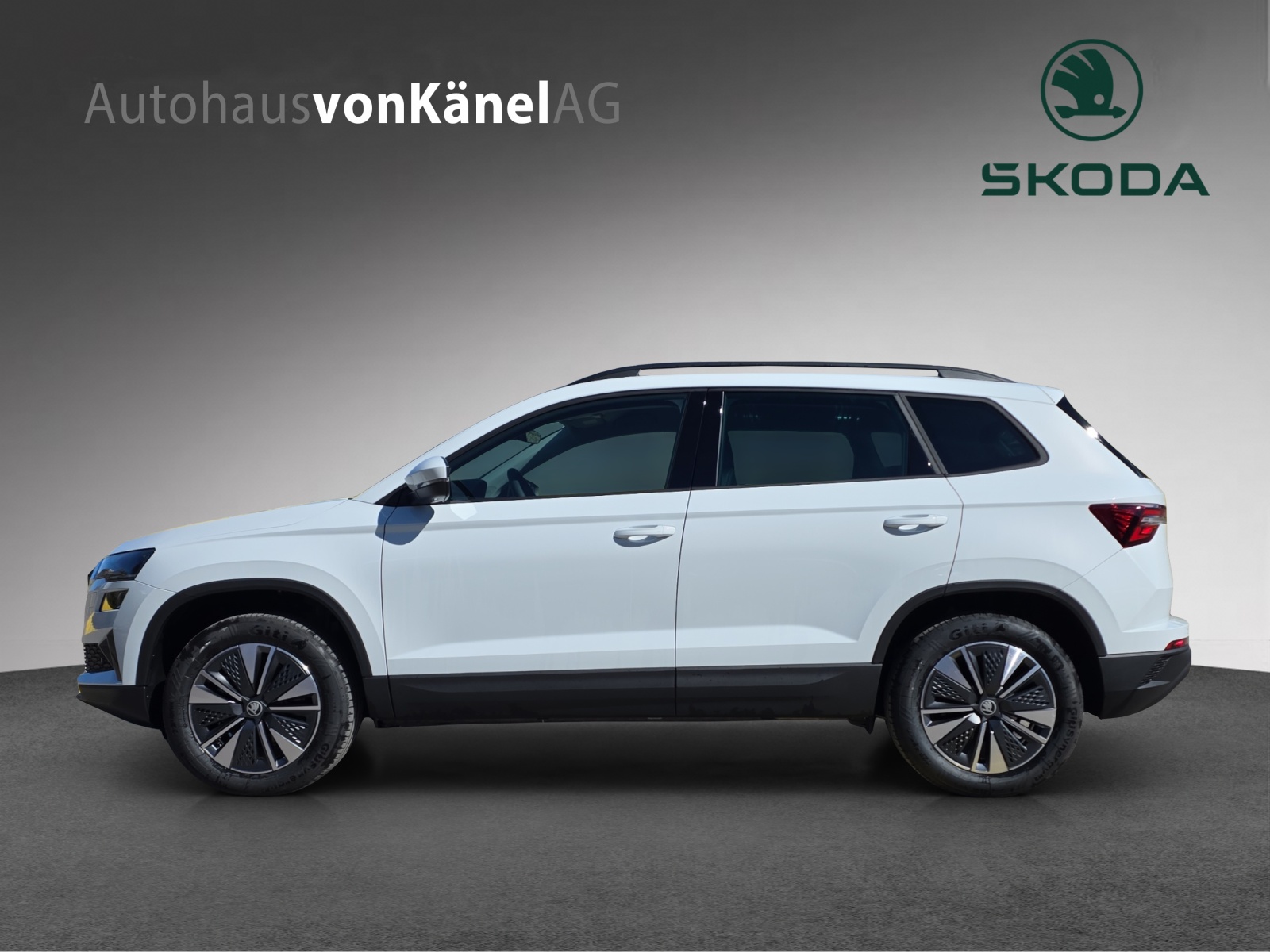 SKODA Karoq 2.0 TDI CR Dynamic 4x4 DSG-image-1