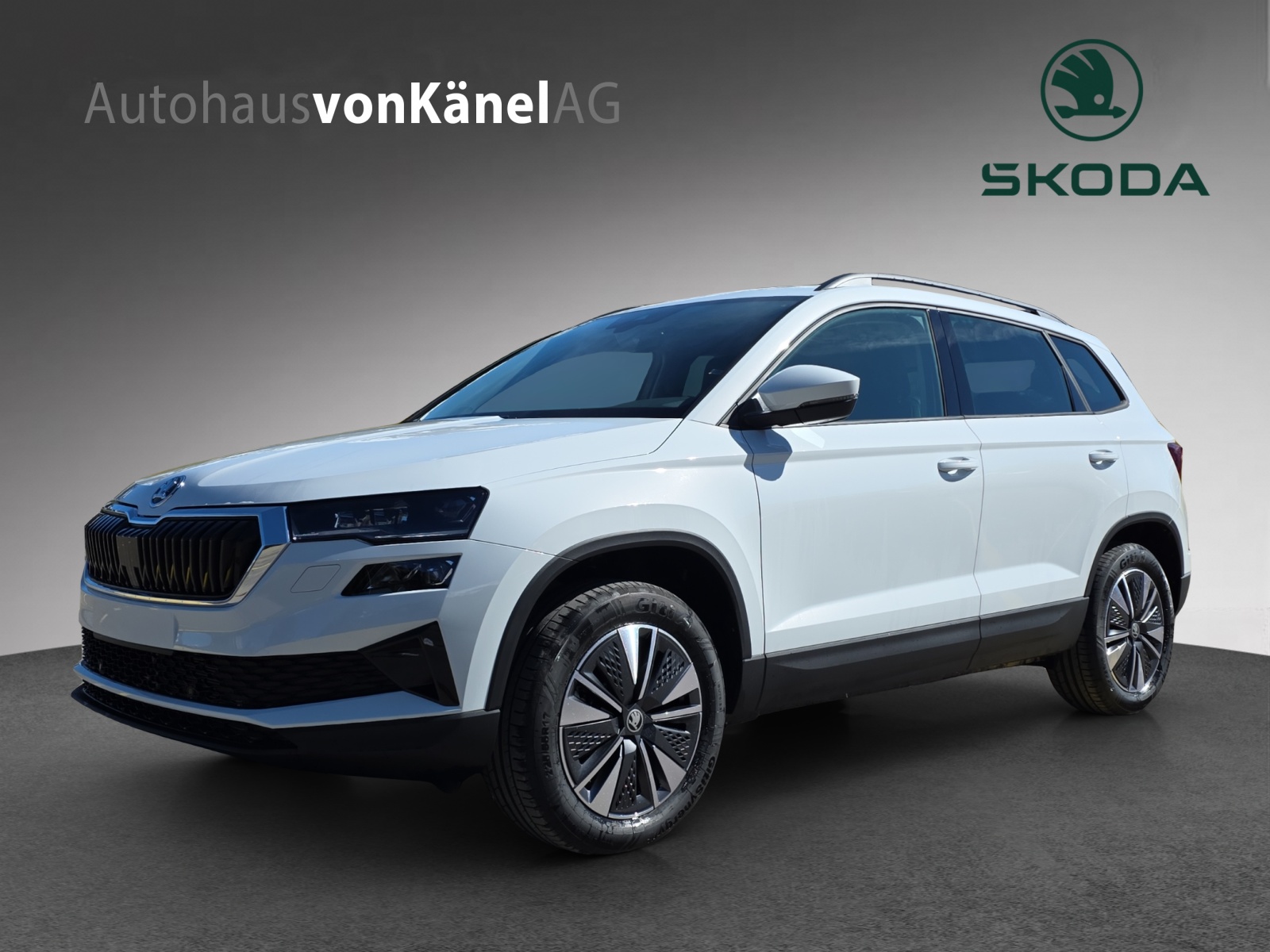 SKODA Karoq 2.0 TDI CR Dynamic 4x4 DSG-image-0