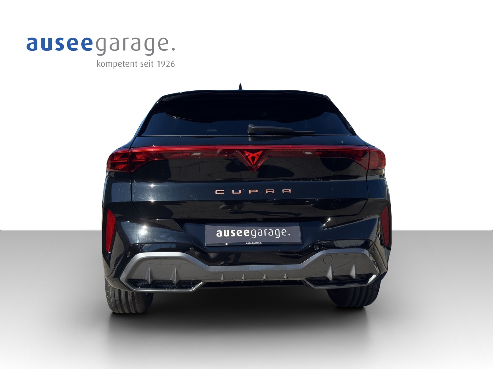 CUPRA Terramar PE2.0TSI 265PS 2000ccm 265PS/195kW 4 Zylinder TSI Benzin-image-3