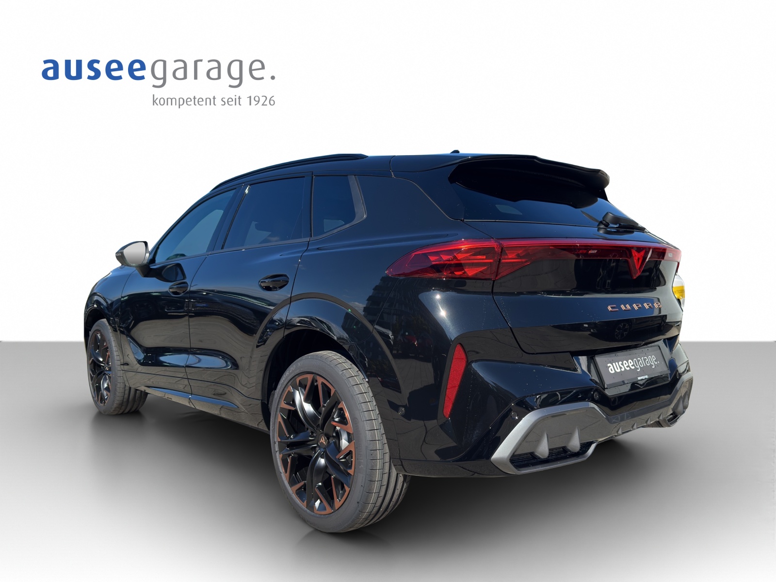 CUPRA Terramar PE2.0TSI 265PS 2000ccm 265PS/195kW 4 Zylinder TSI Benzin-image-2