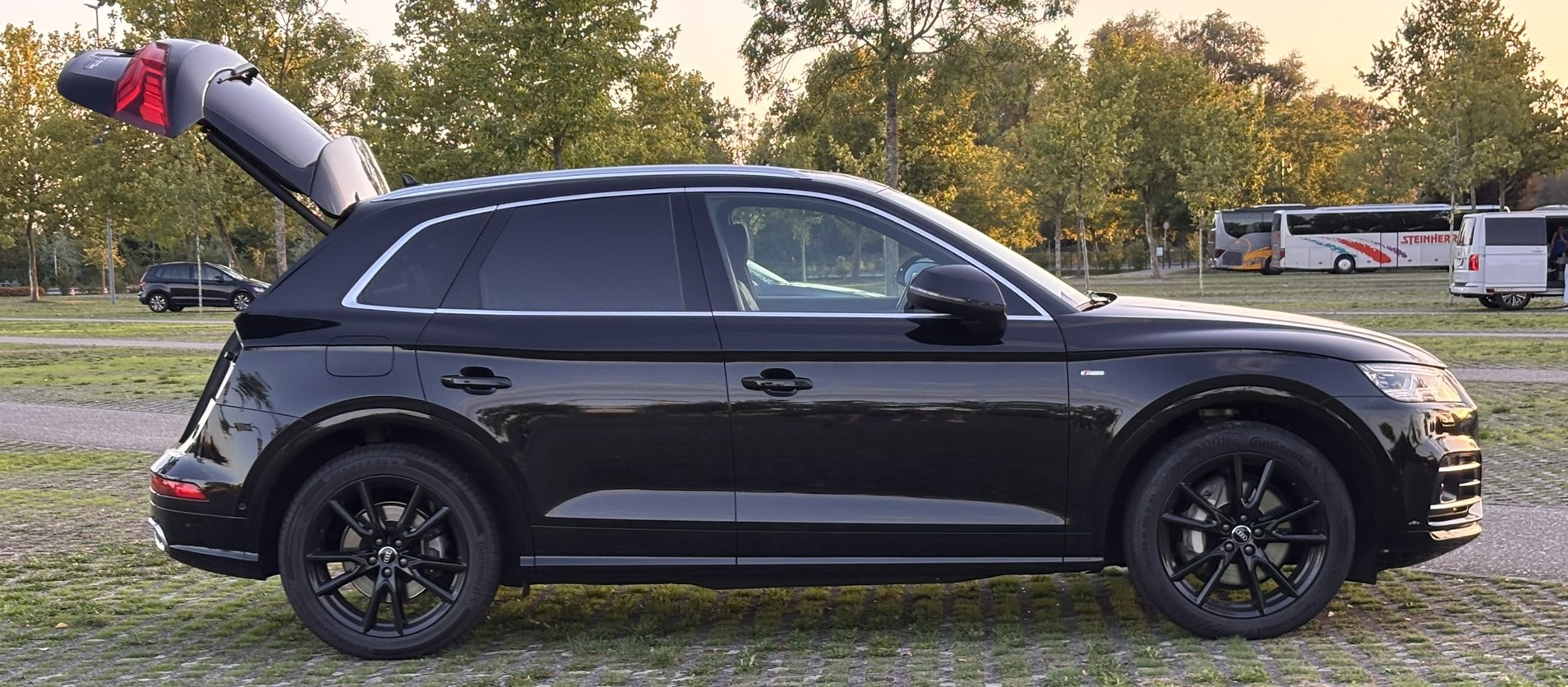 AUDI 2.0 55 TFSI e Sport qu. S-T-image-0