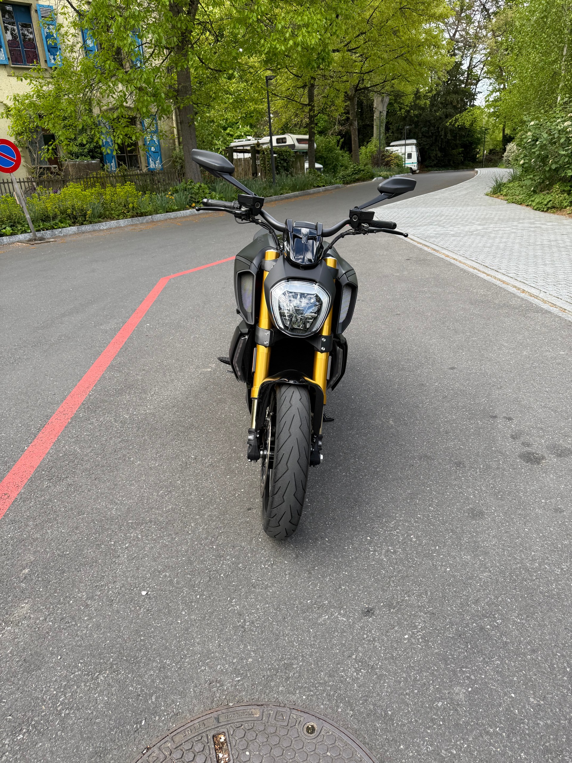 DUCATI Diavel 1260 S-image-4