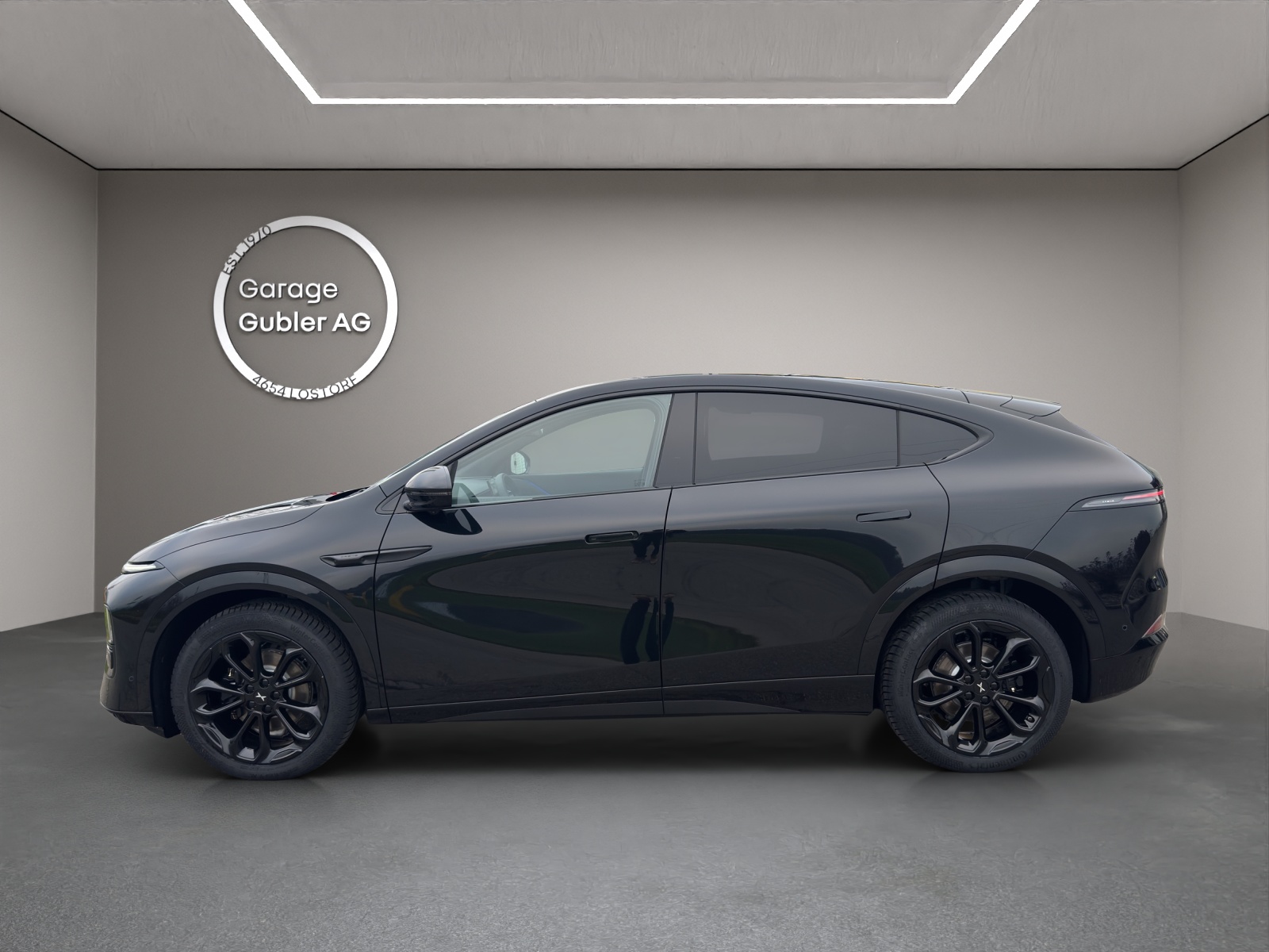 XPENG G6 Performance AWD Black Edition-image-5