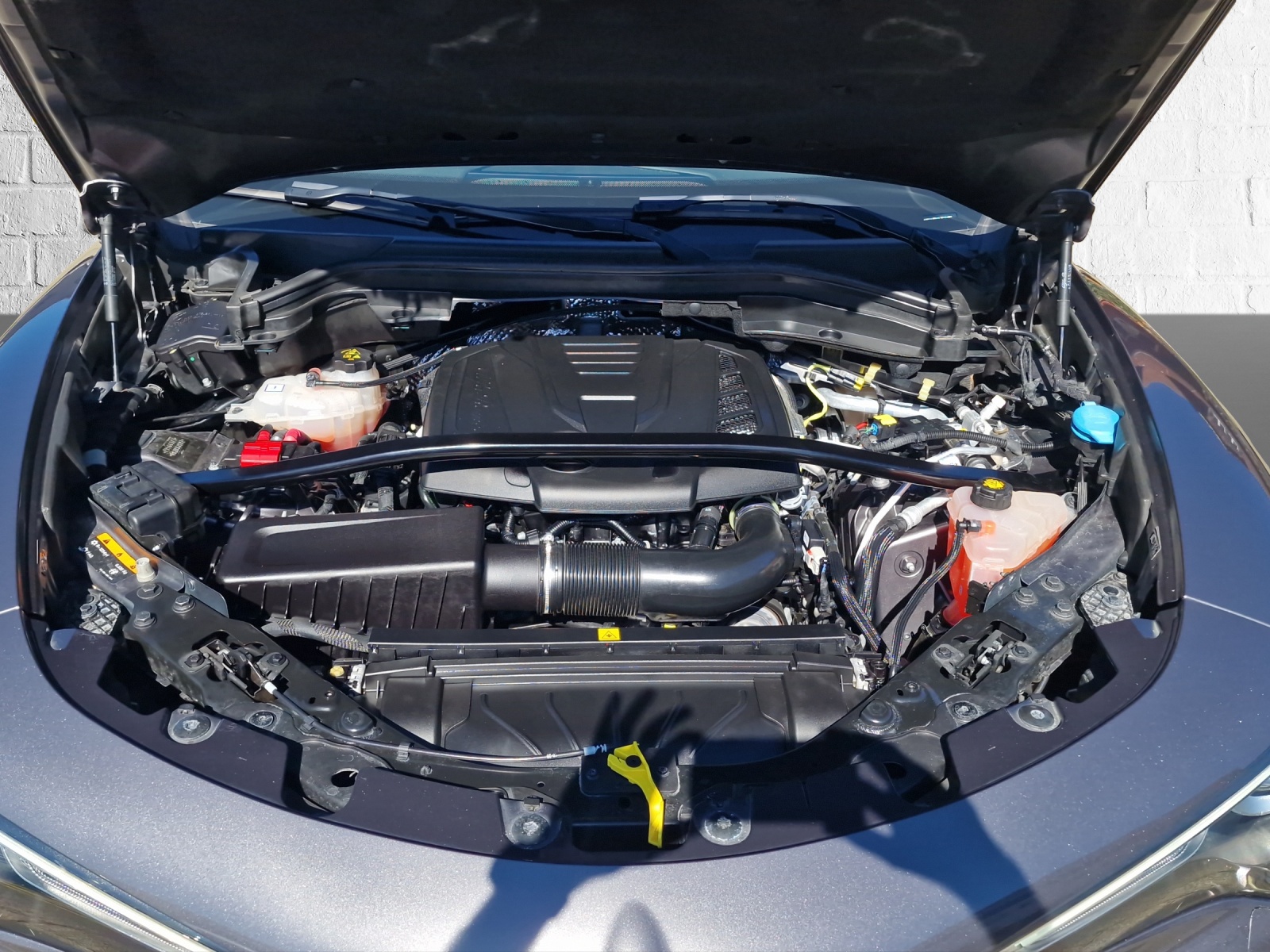 ALFA ROMEO Stelvio 2.0 Q4 Sprint-image-15