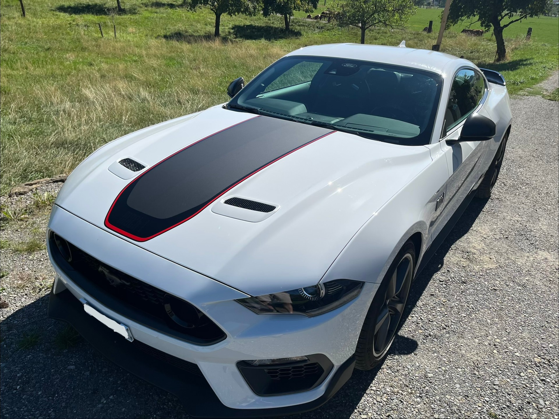 FORD Mustang 5.0 V8 Mach 1, Handschalter, Recaro Sportsitze, GT500 style Heckspoiler, Heckscheibenlamellen, Carcover...-image-2