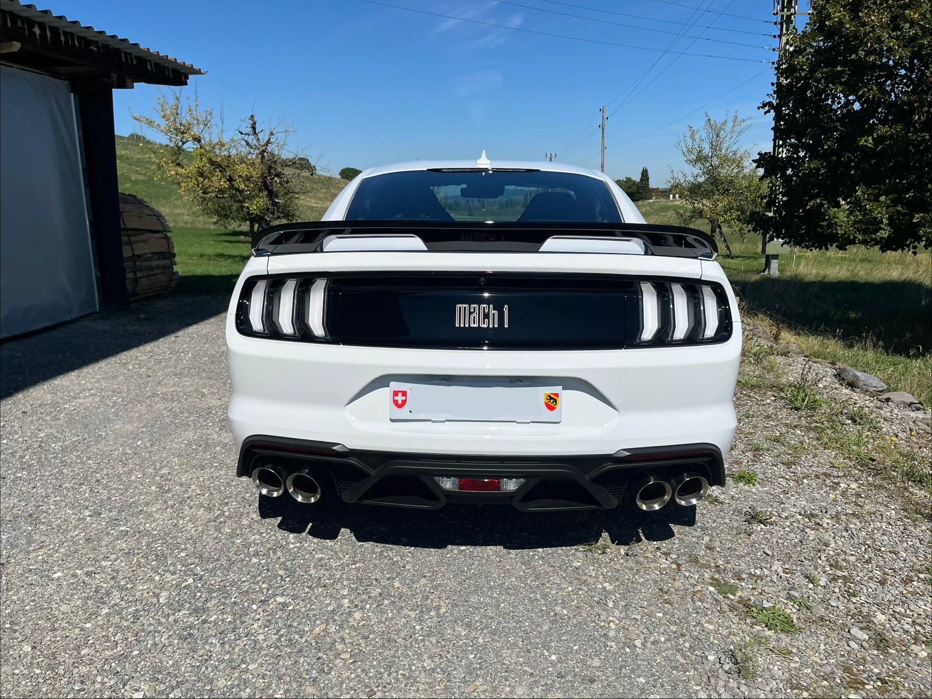 FORD Mustang 5.0 V8 Mach 1, Handschalter, Recaro Sportsitze, GT500 style Heckspoiler, Heckscheibenlamellen, Carcover...-image-5