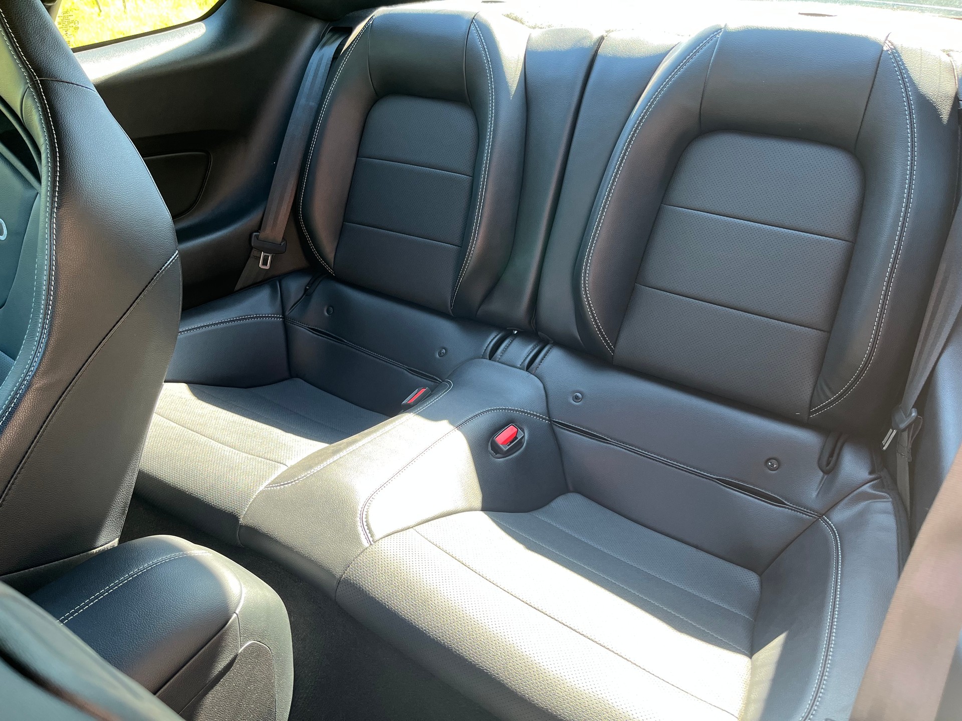 FORD Mustang 5.0 V8 Mach 1, Handschalter, Recaro Sportsitze, GT500 style Heckspoiler, Heckscheibenlamellen, Carcover...-image-15