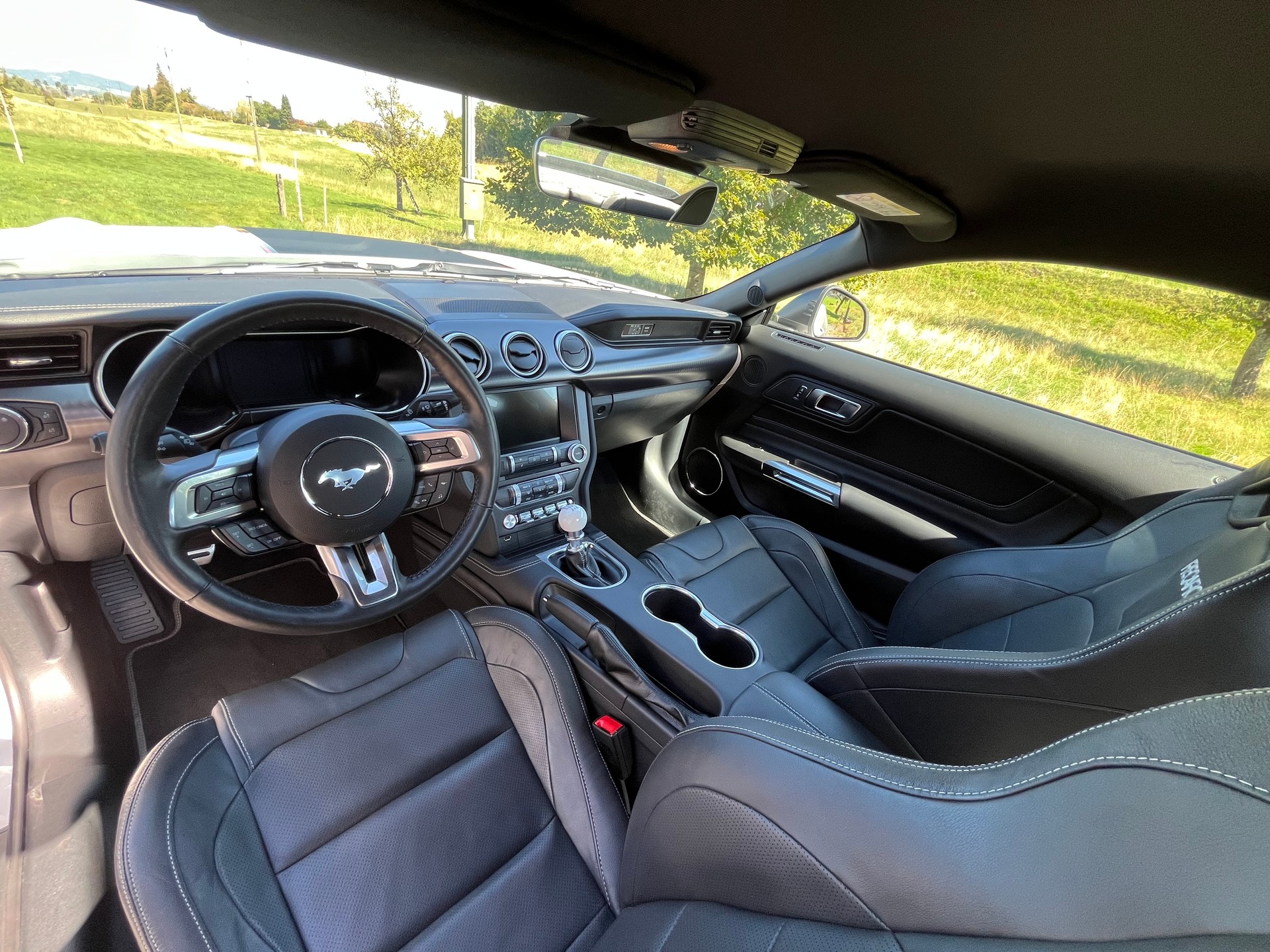 FORD Mustang 5.0 V8 Mach 1, Handschalter, Recaro Sportsitze, GT500 style Heckspoiler, Heckscheibenlamellen, Carcover...-image-13