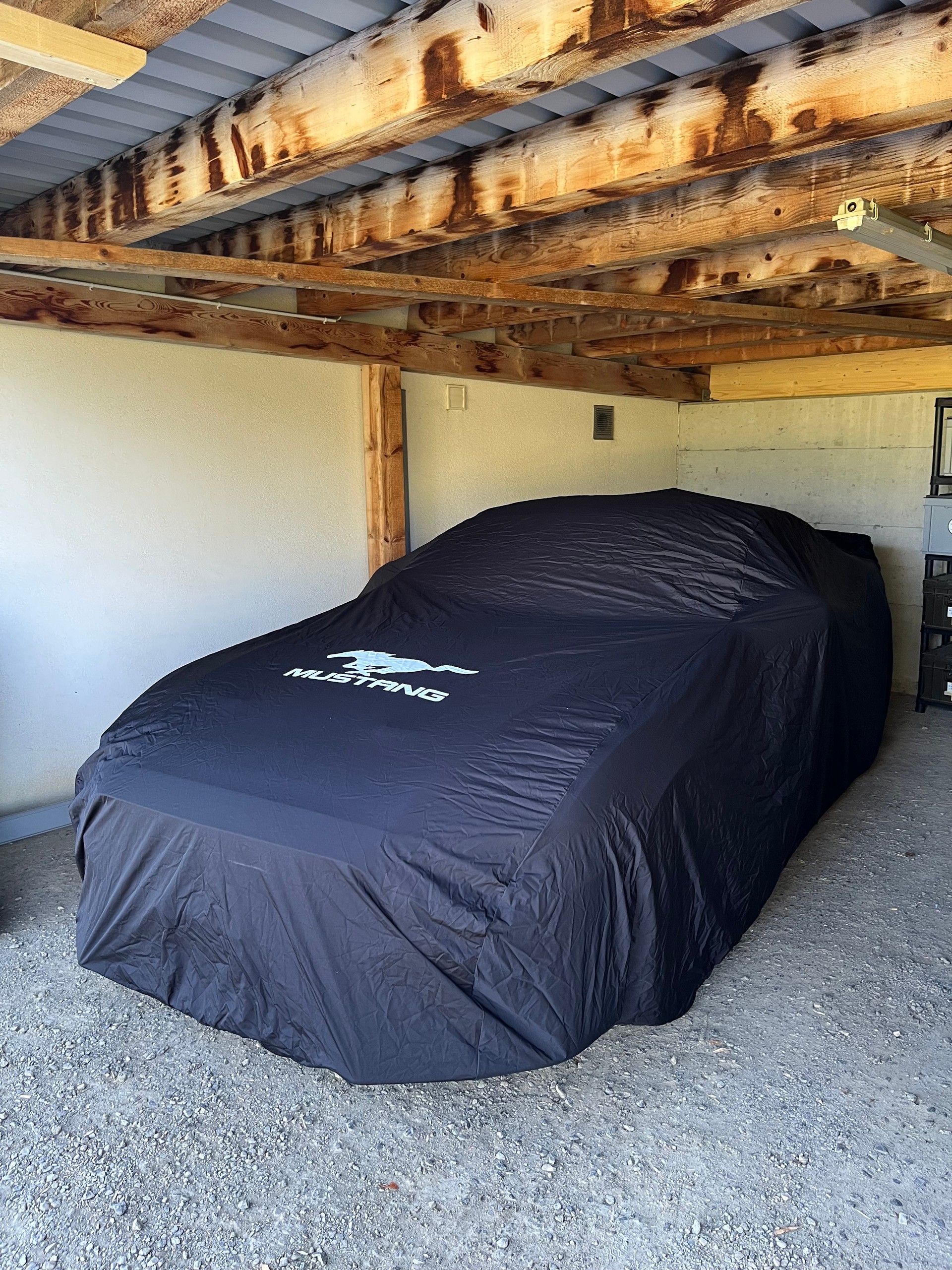 FORD Mustang 5.0 V8 Mach 1, Handschalter, Recaro Sportsitze, GT500 style Heckspoiler, Heckscheibenlamellen, Carcover...-image-8